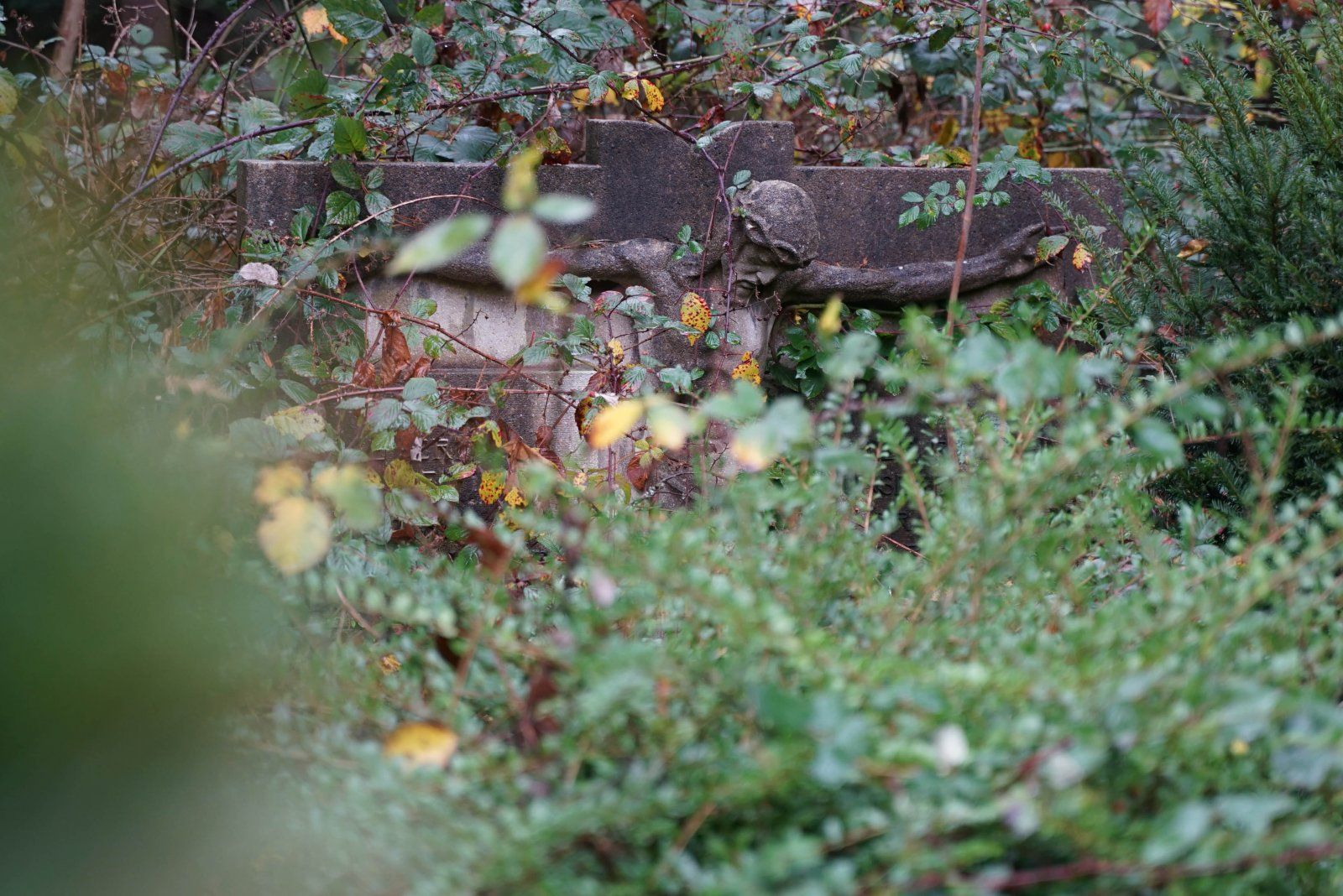DSC02095.jpg