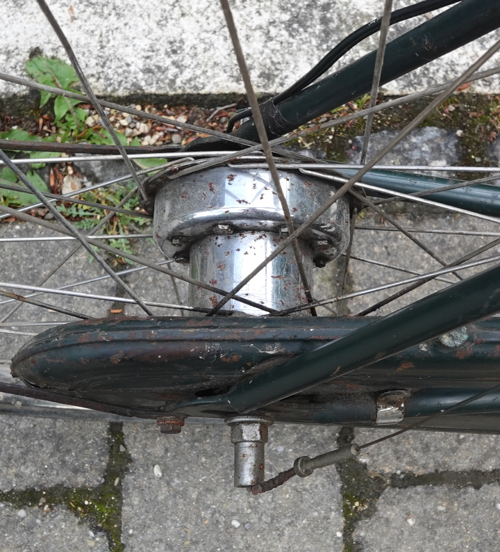 DSC02410_skaliert.jpg
