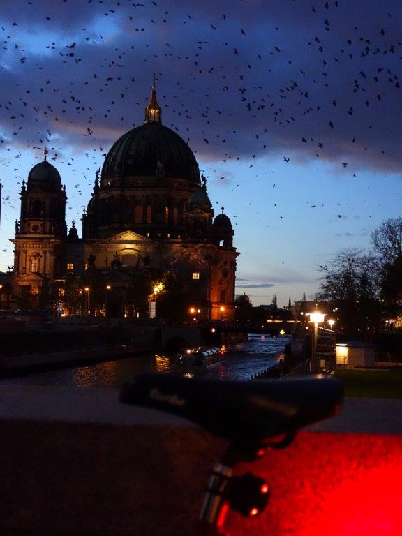 DSC02534a.jpg