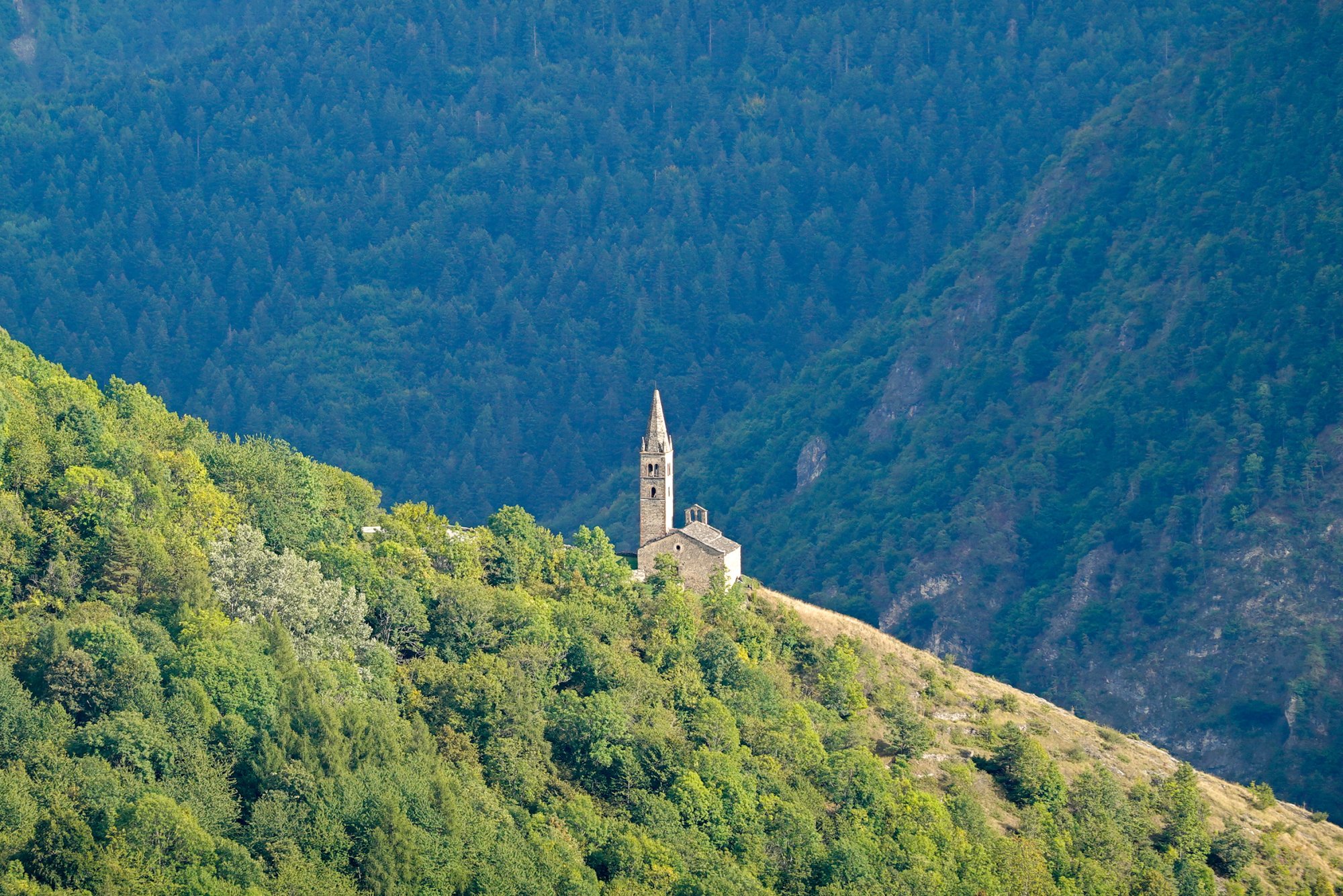 DSC03097 1.jpg