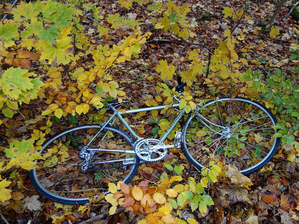 DSC03114a.jpg