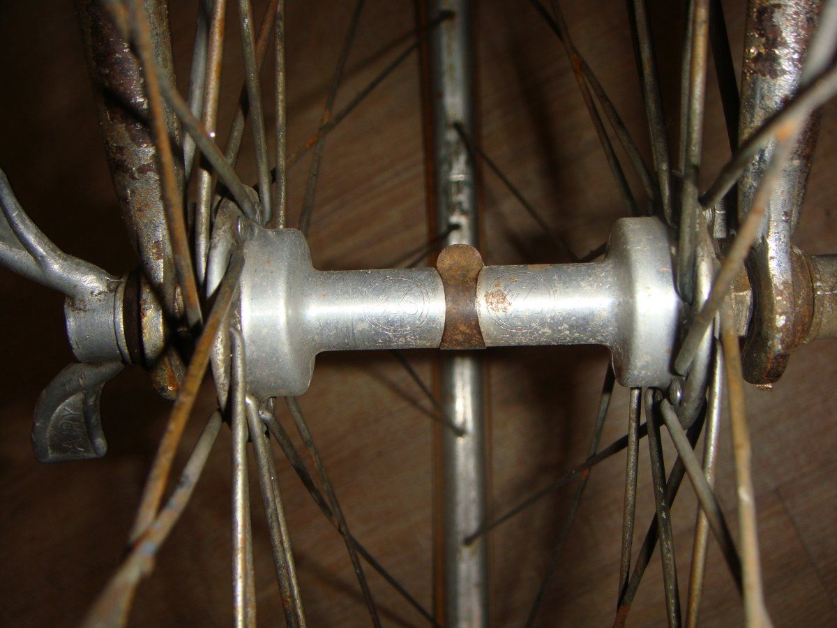 DSC03280.JPG