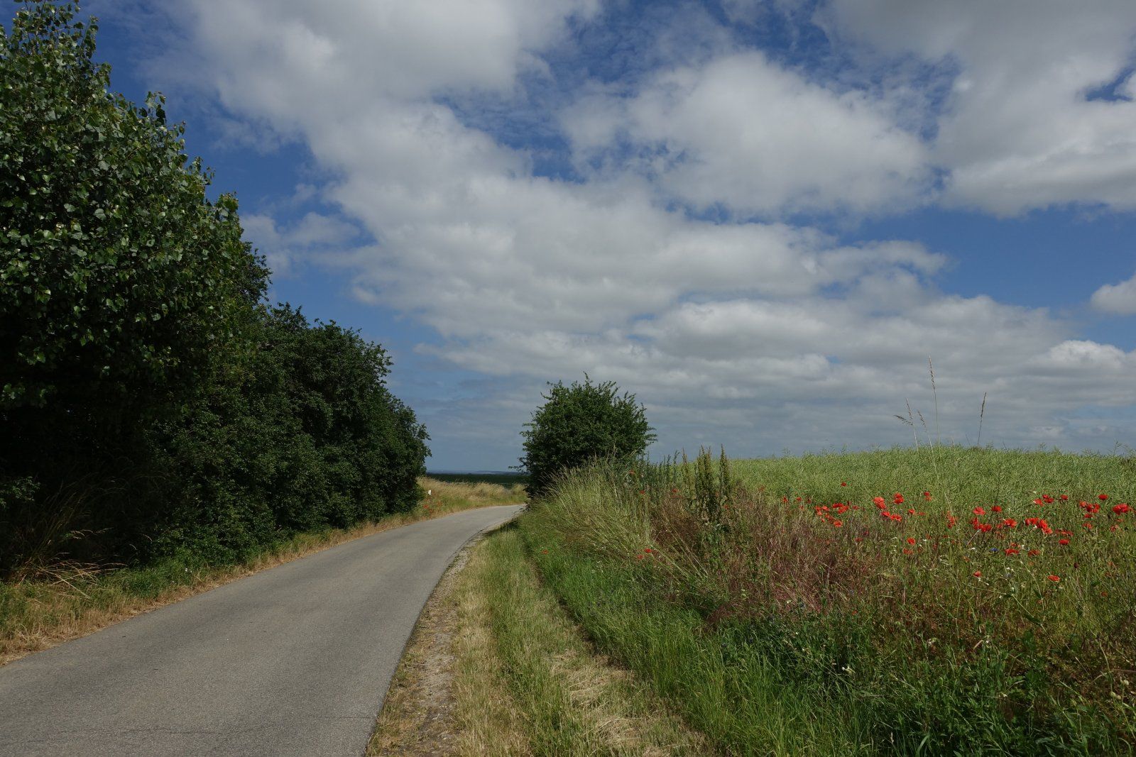 DSC03567.JPG