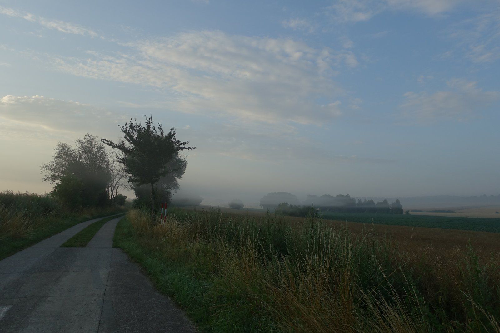 DSC03729.JPG