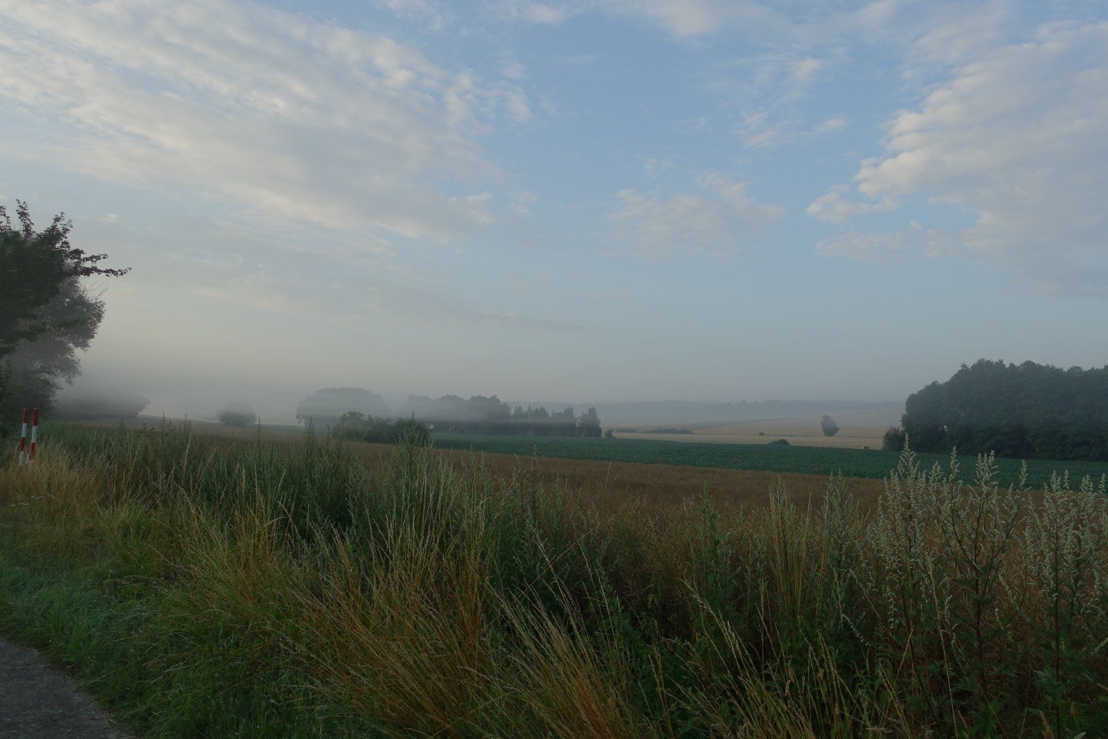 DSC03730.JPG