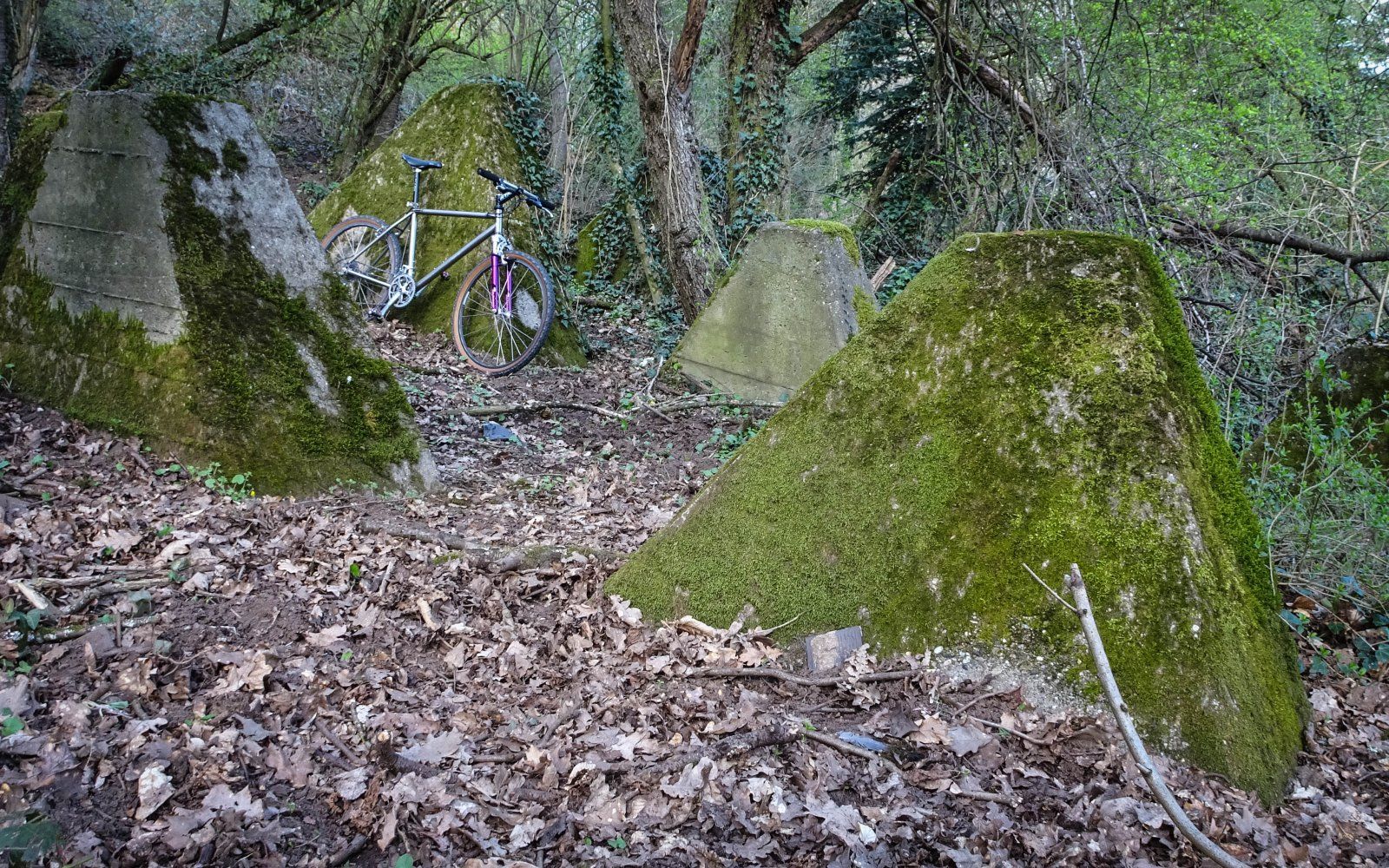 DSC05592.jpg