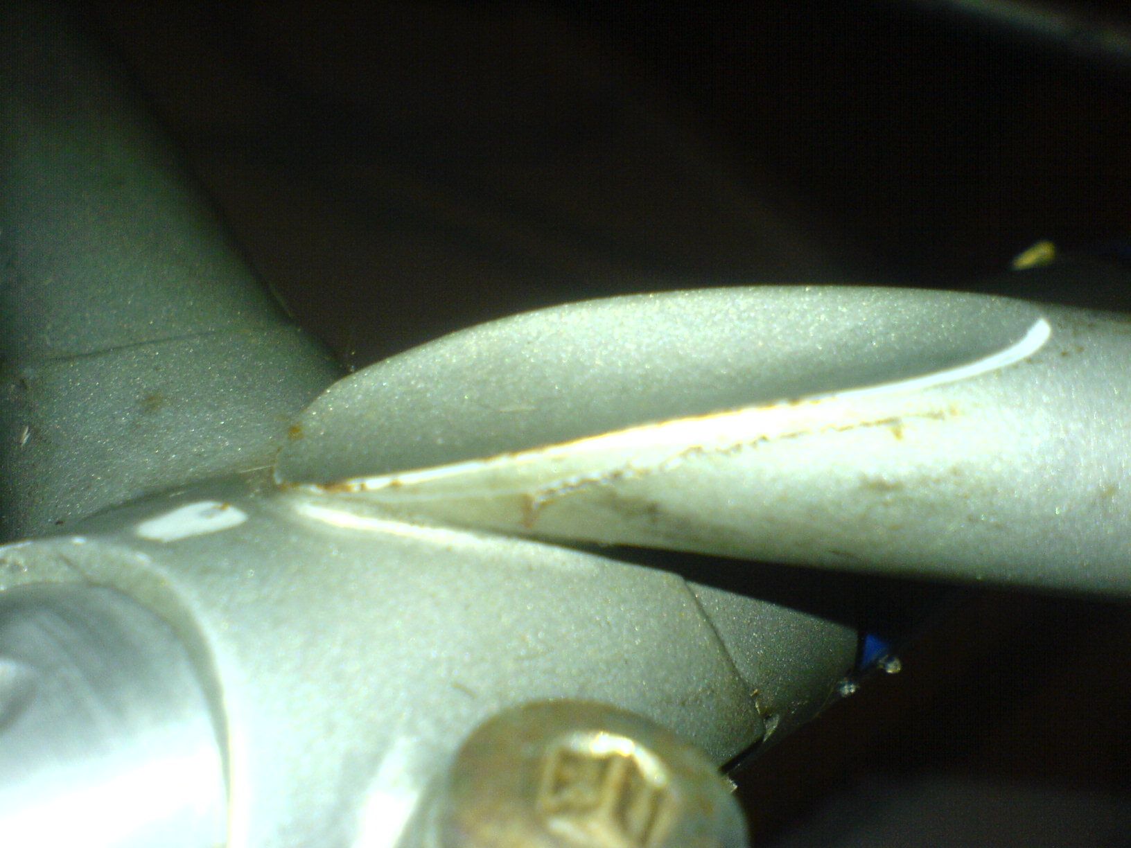 DSC07633.JPG