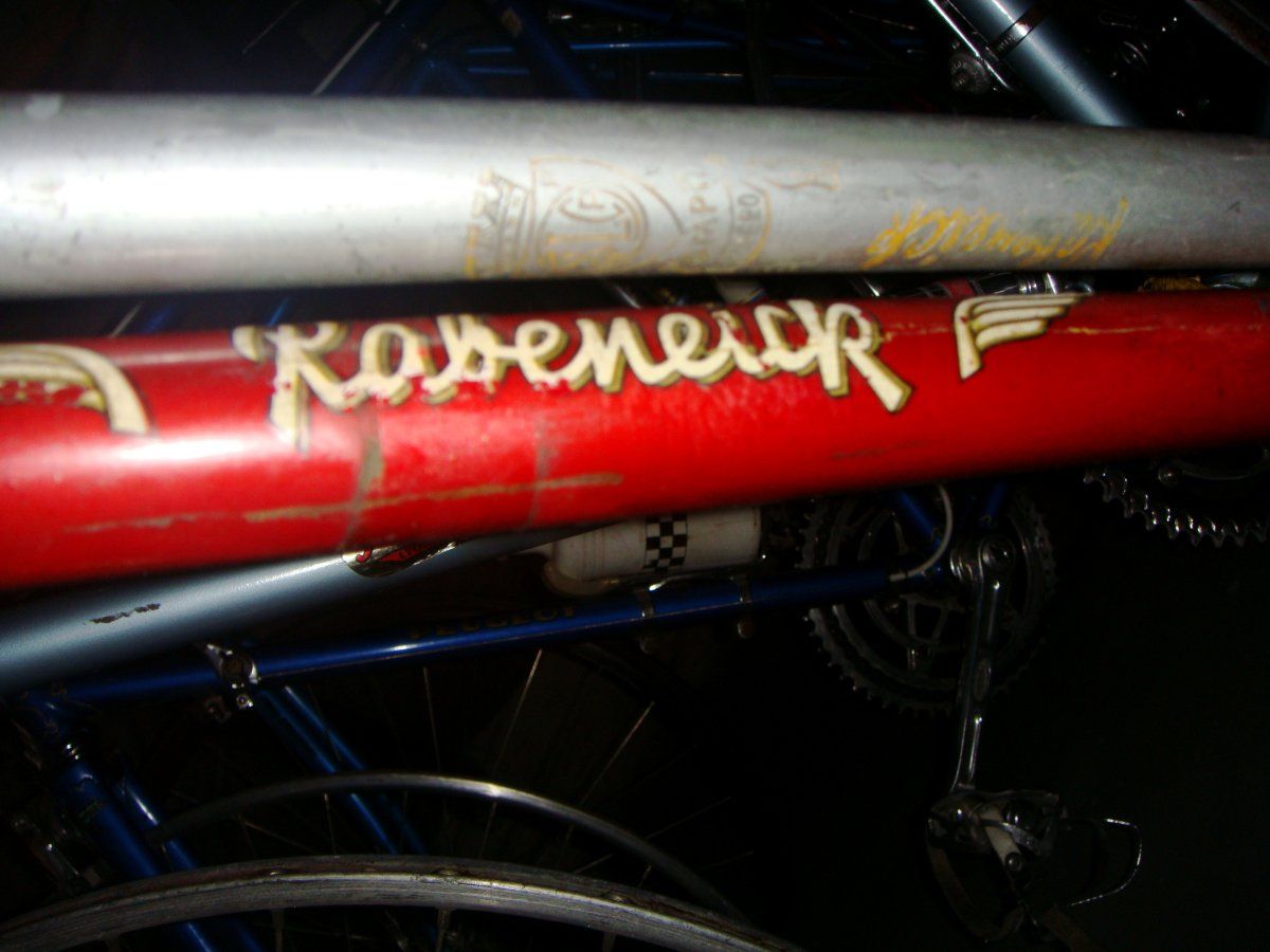 DSC08364.JPG