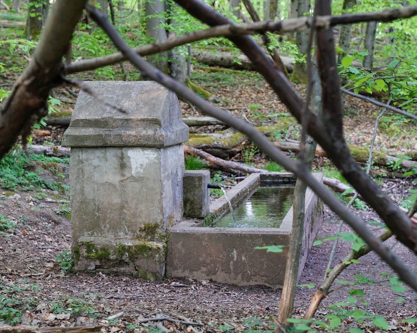 DSC08457.jpg
