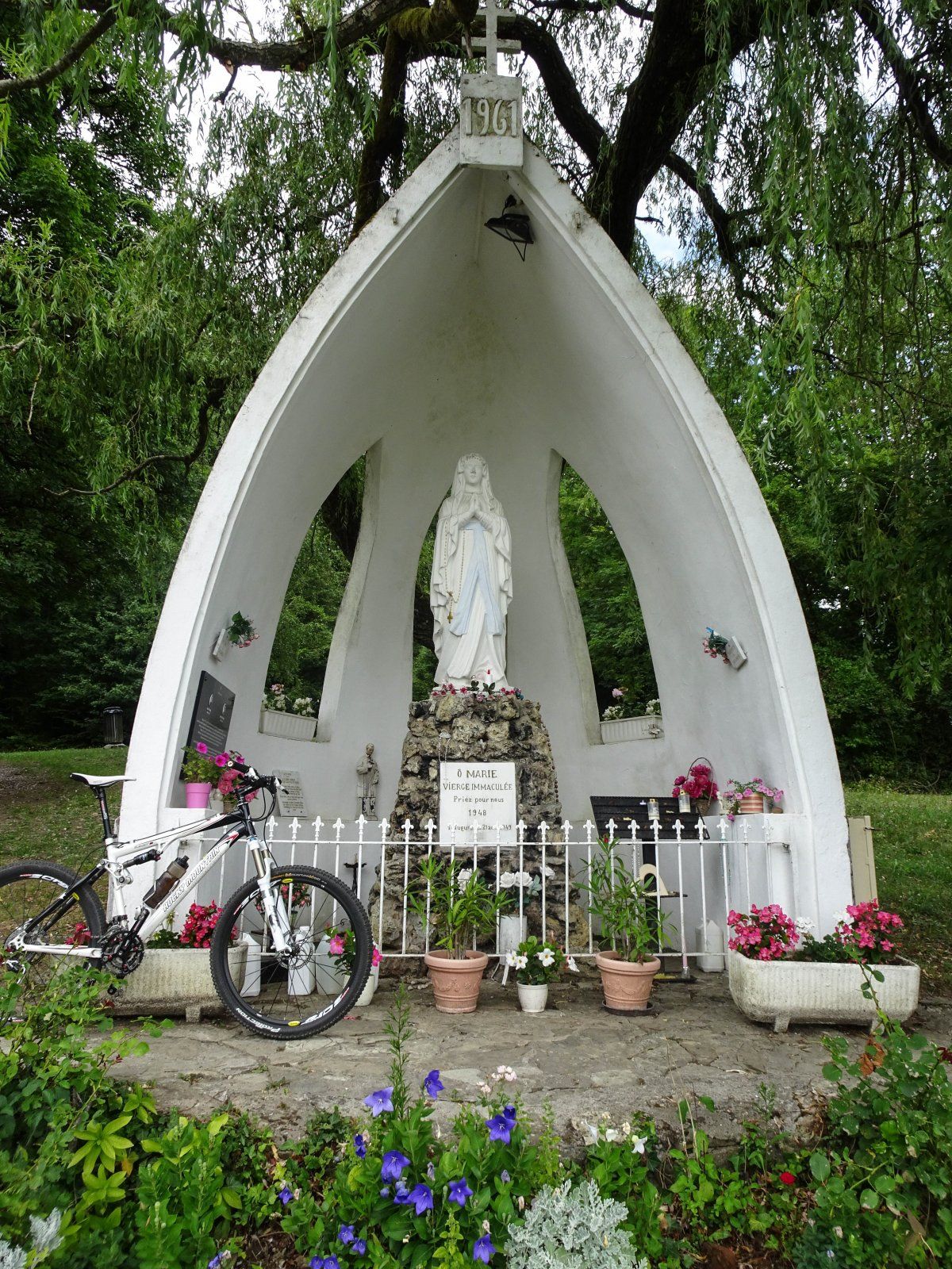 DSC08886-2.jpg