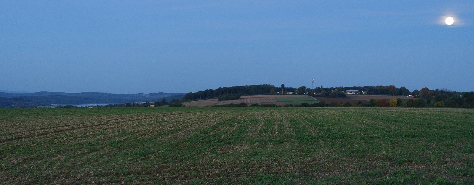DSC09126_1600pb.jpg