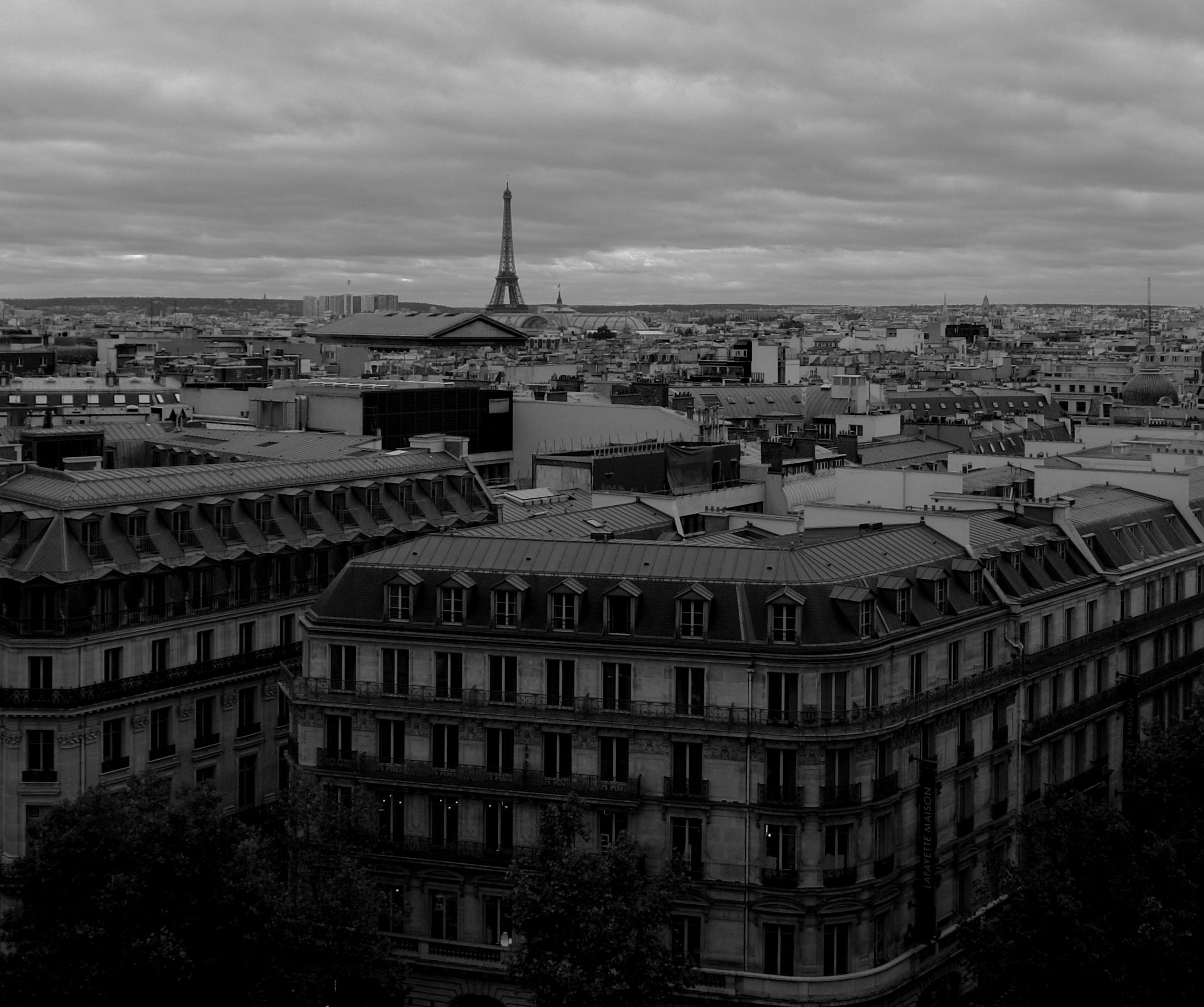 DSC09176.JPG