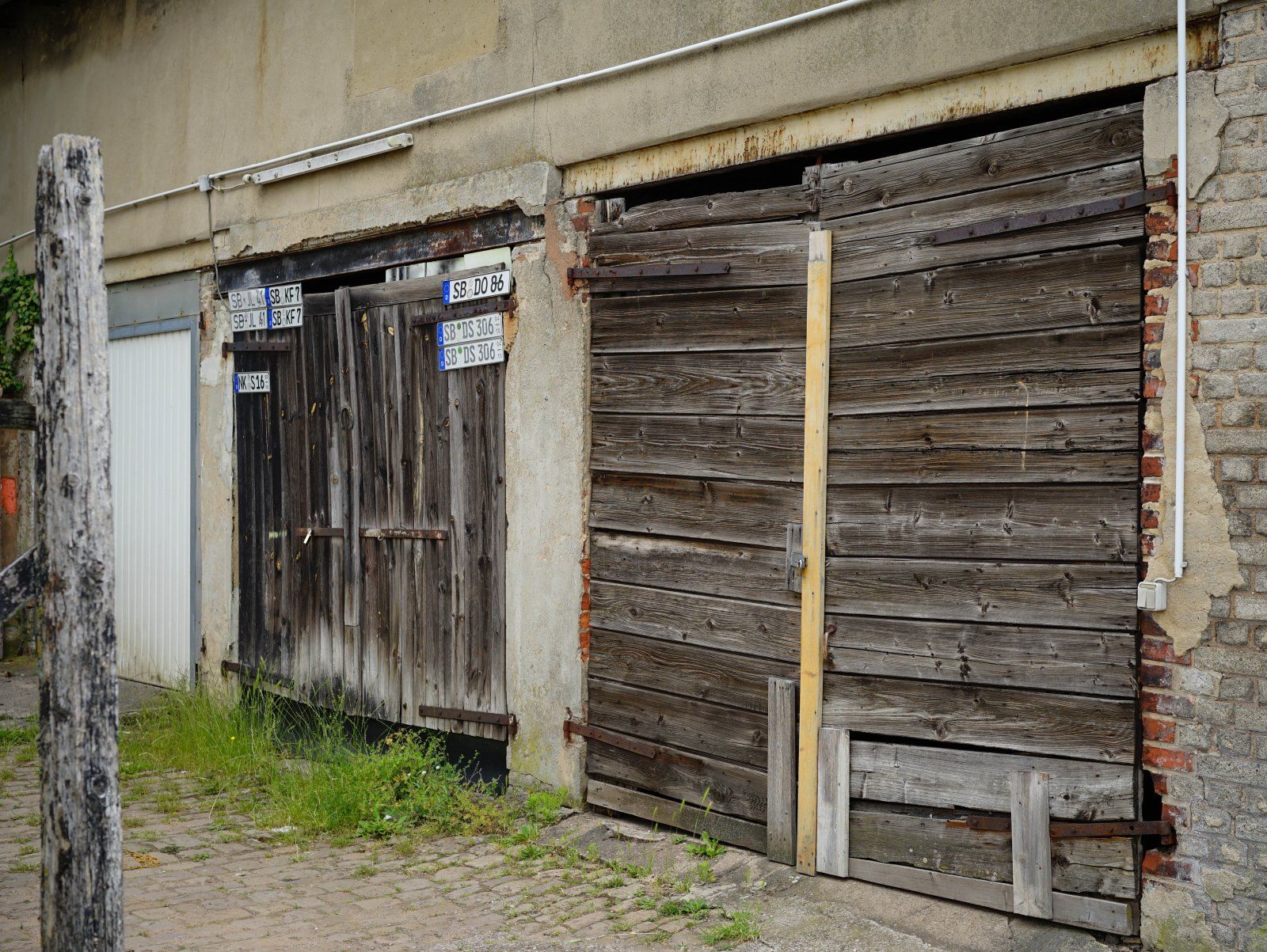 DSC09188.jpg