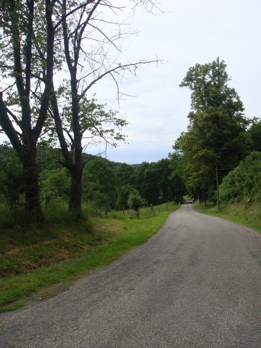 DSC09528.JPG