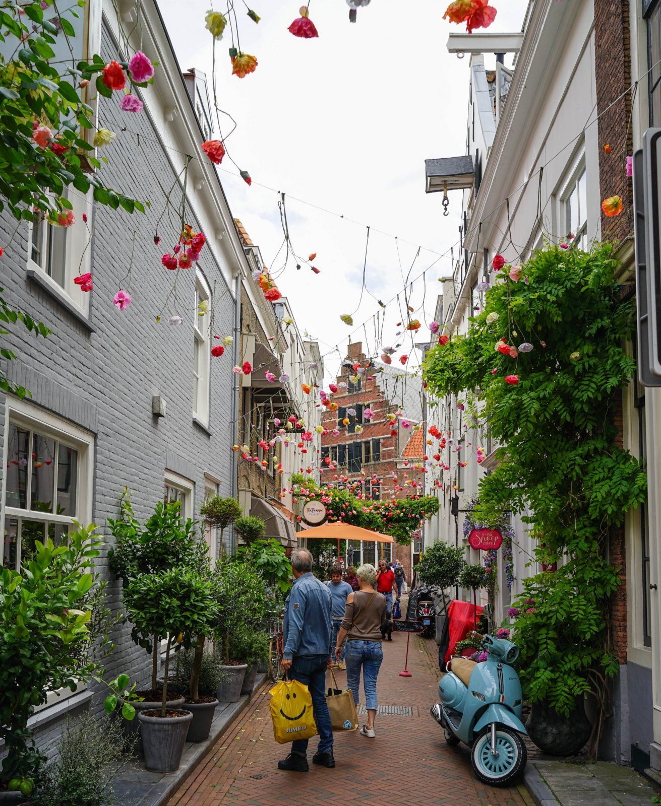 DSC09555.jpg