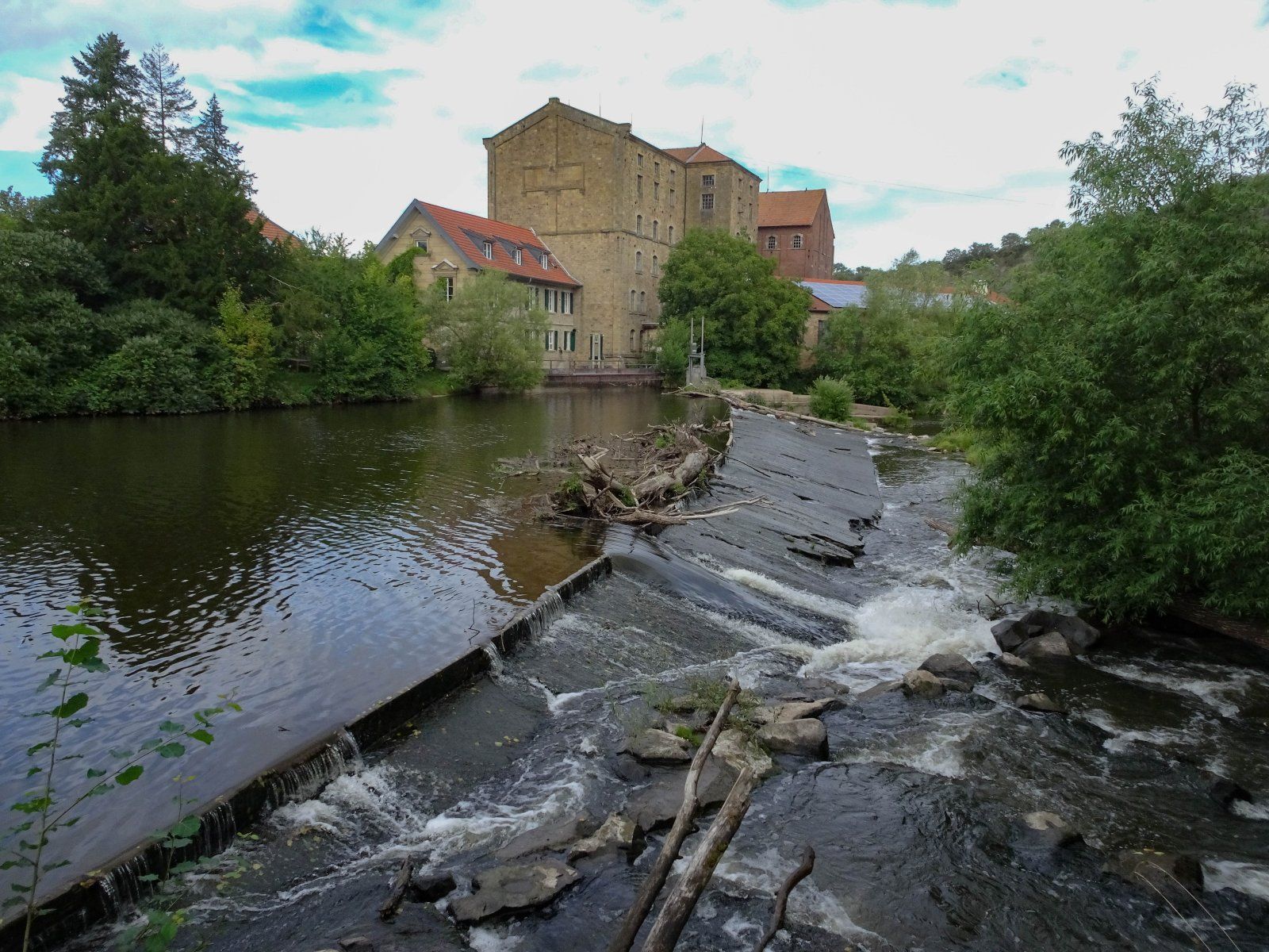 DSC09773.jpg