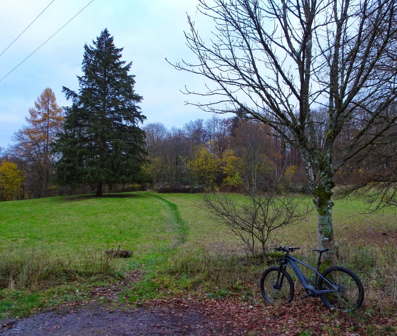 DSC09976-2.jpg