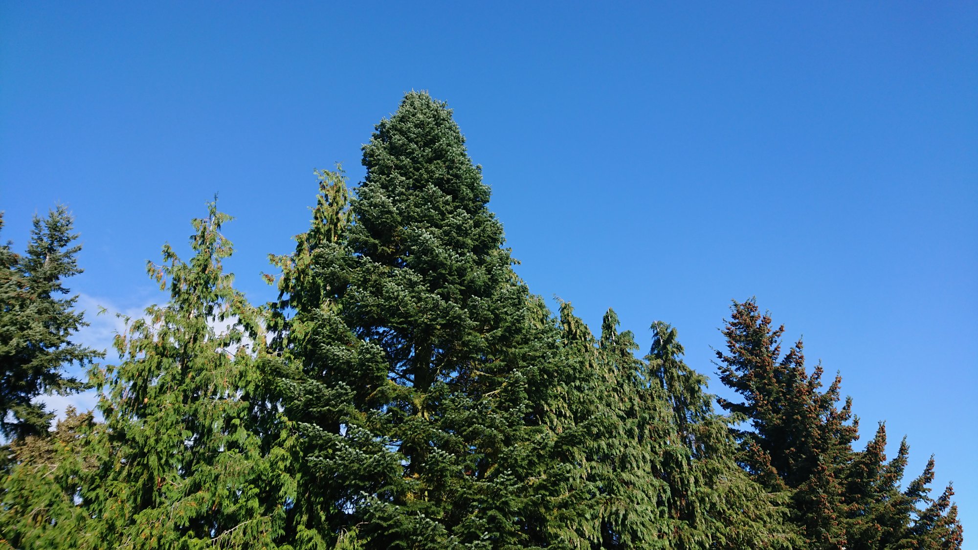 DSC_0001.JPG