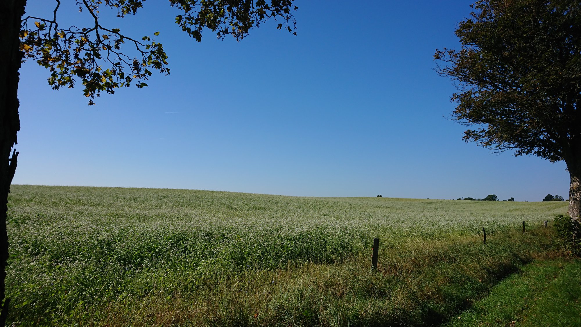 DSC_0008.JPG