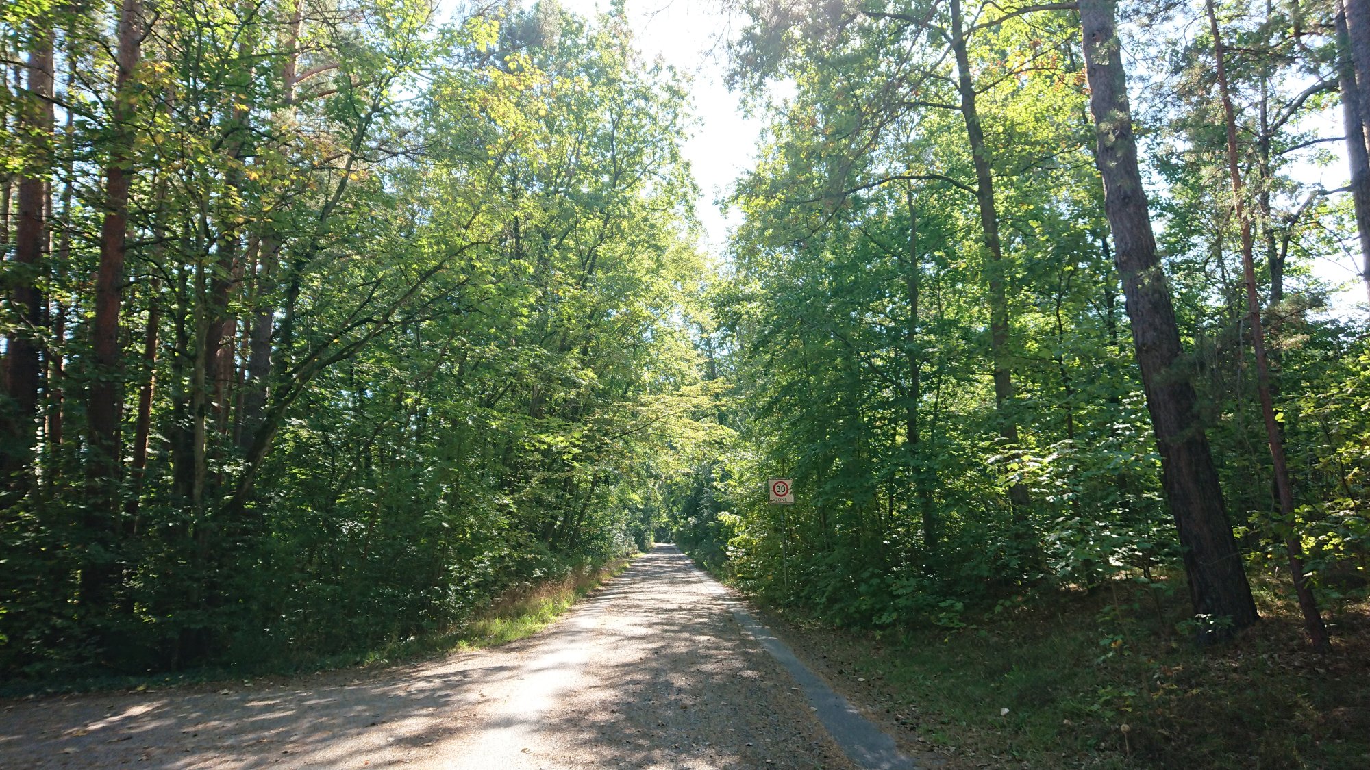 DSC_0011.JPG
