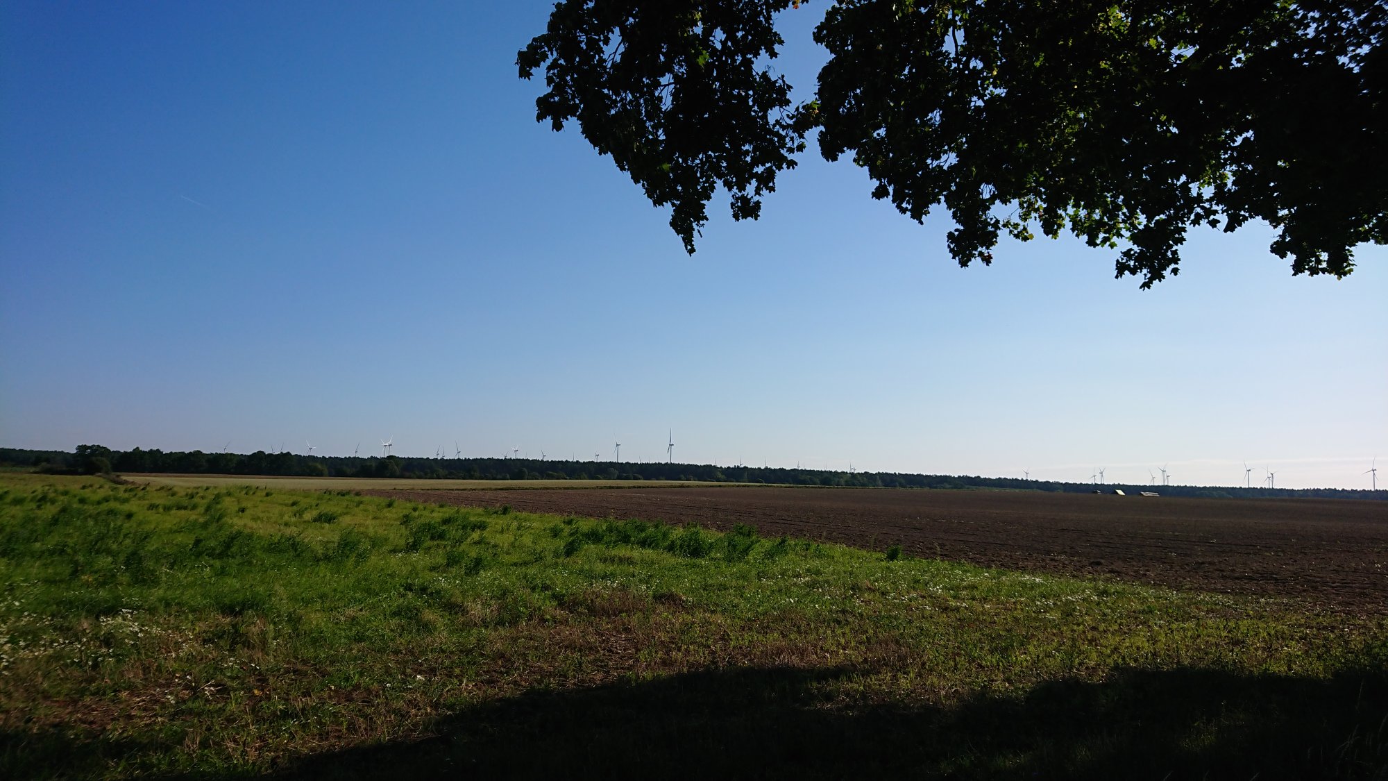 DSC_0020.JPG