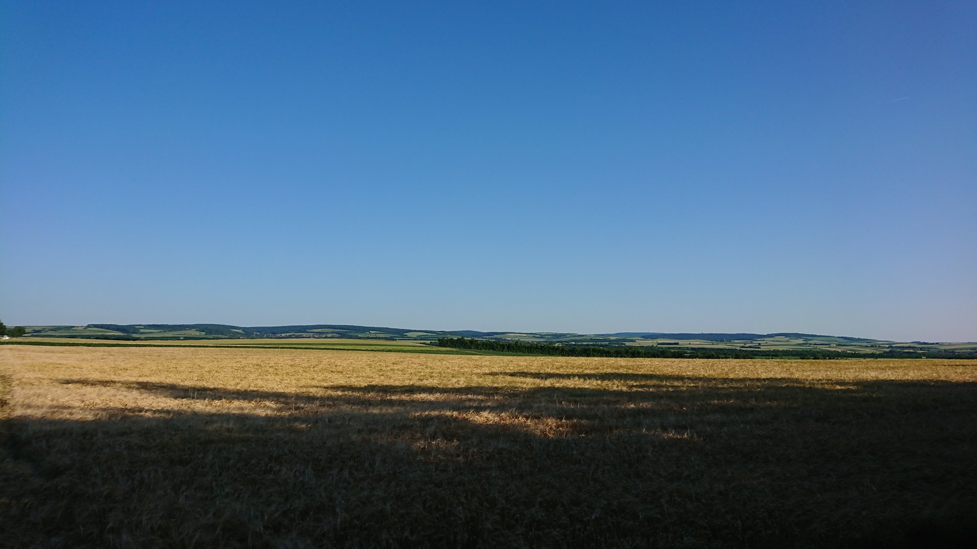 DSC_0024.JPG