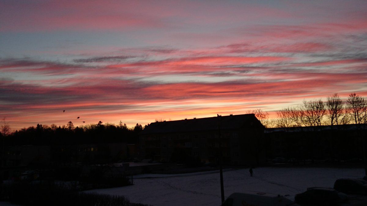 DSC_0024.JPG