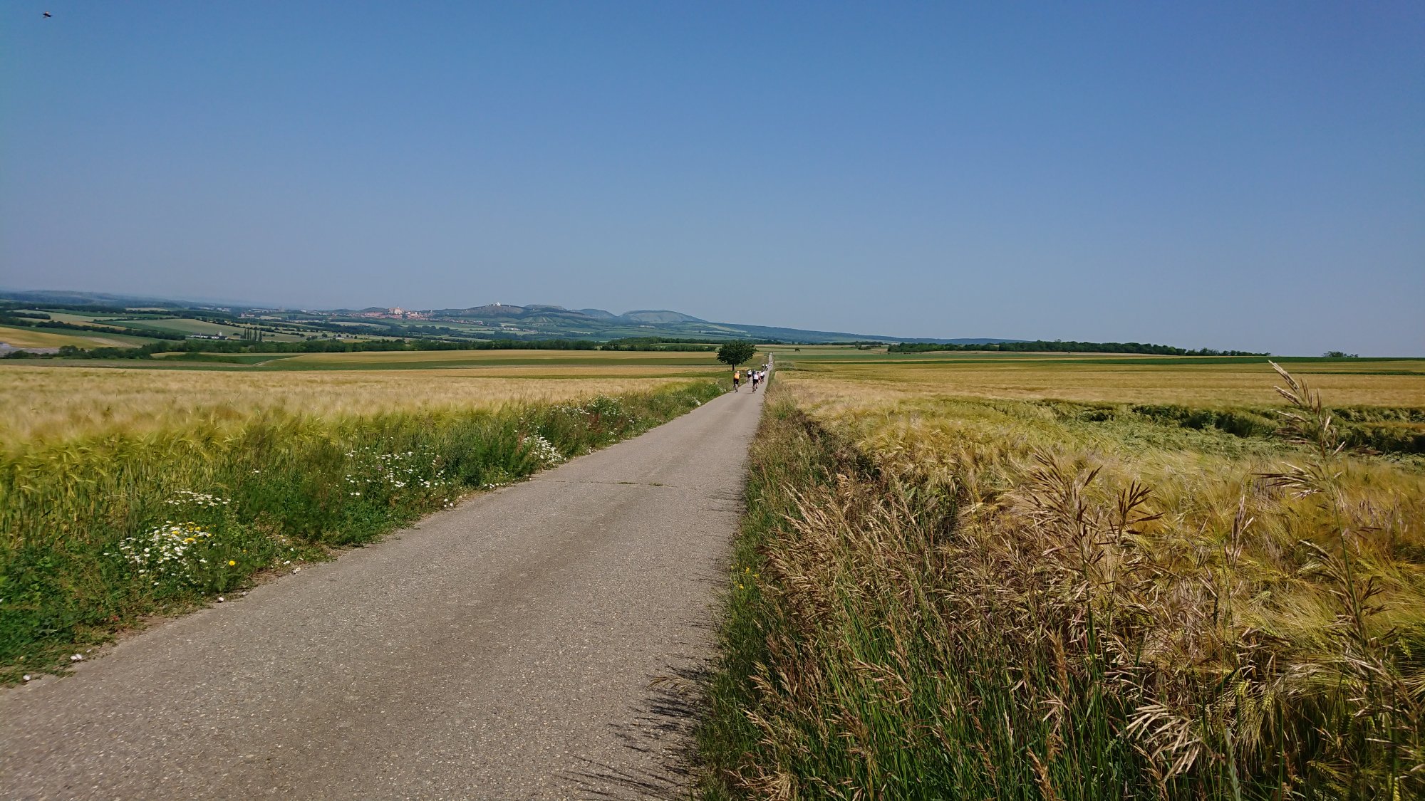 DSC_0030.JPG