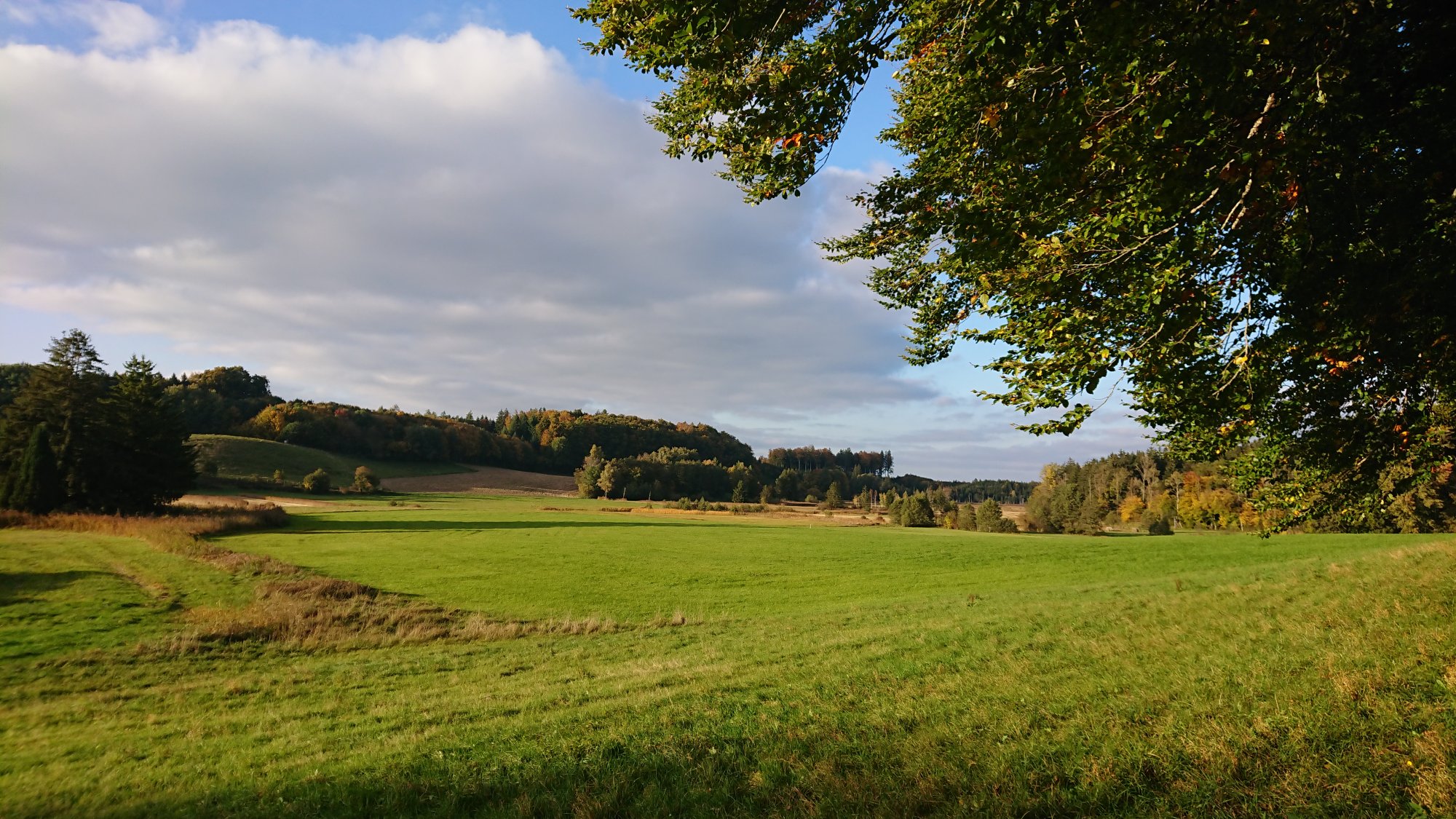 DSC_0044.JPG