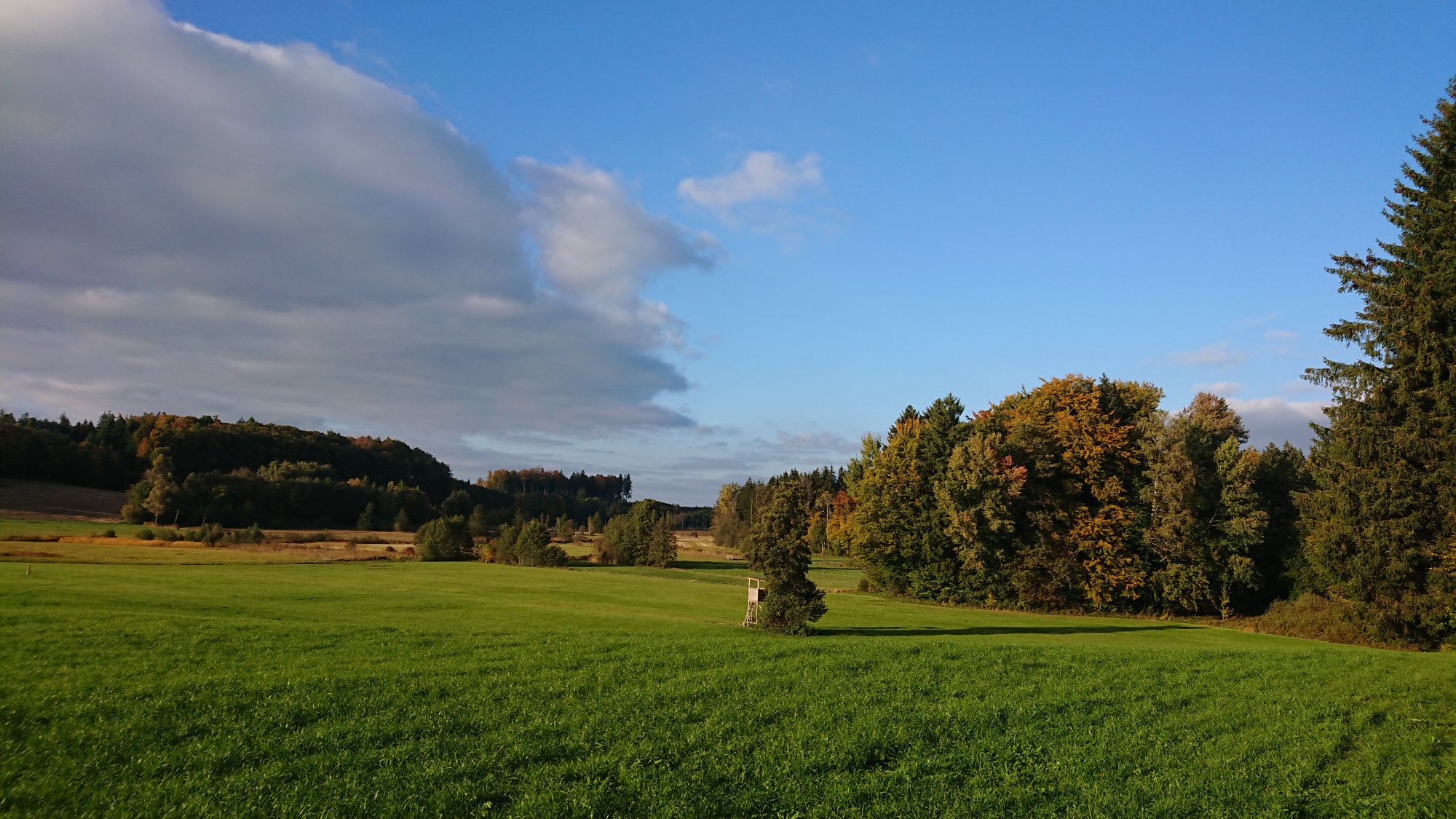 DSC_0045.JPG