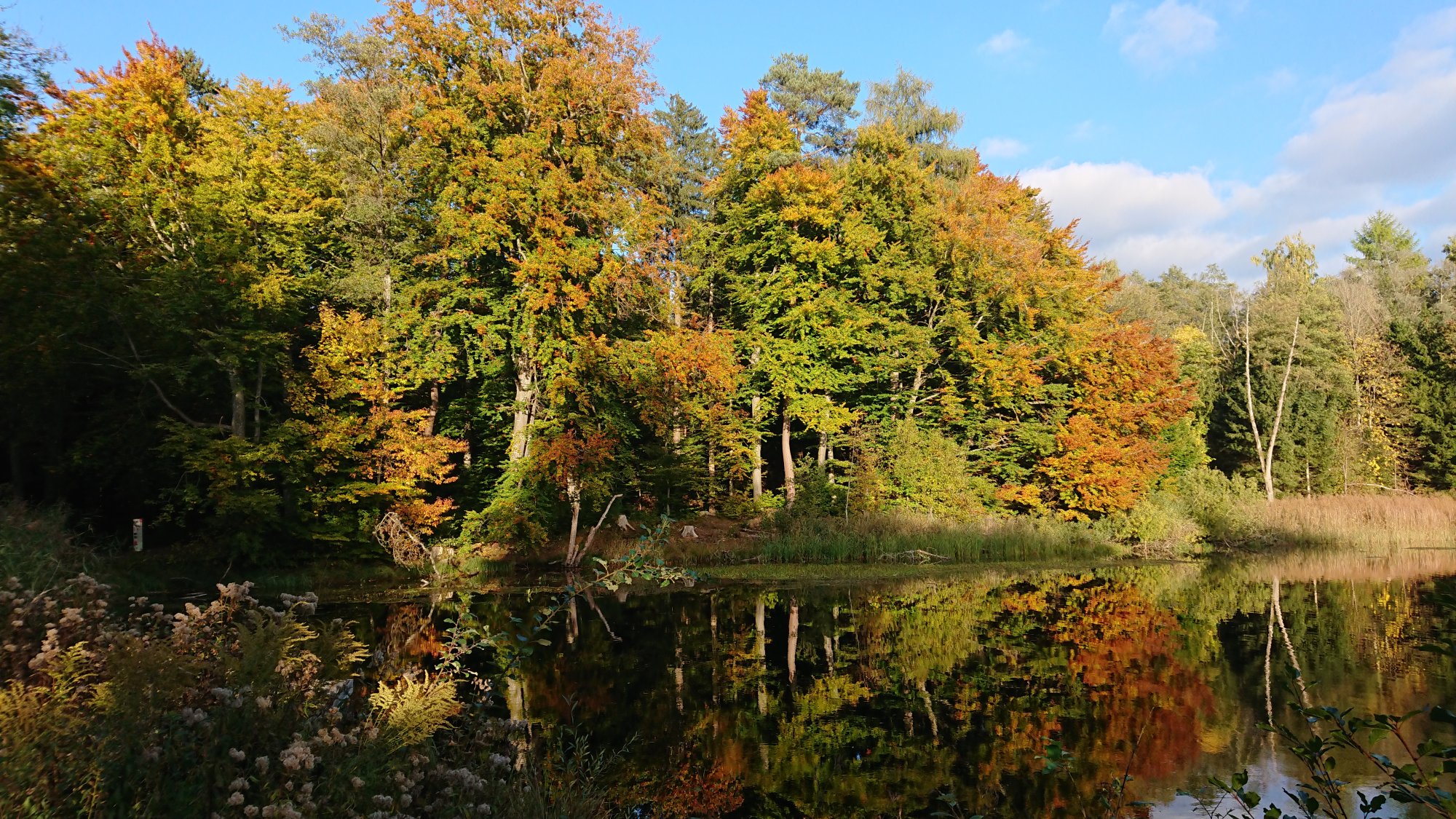 DSC_0046.JPG
