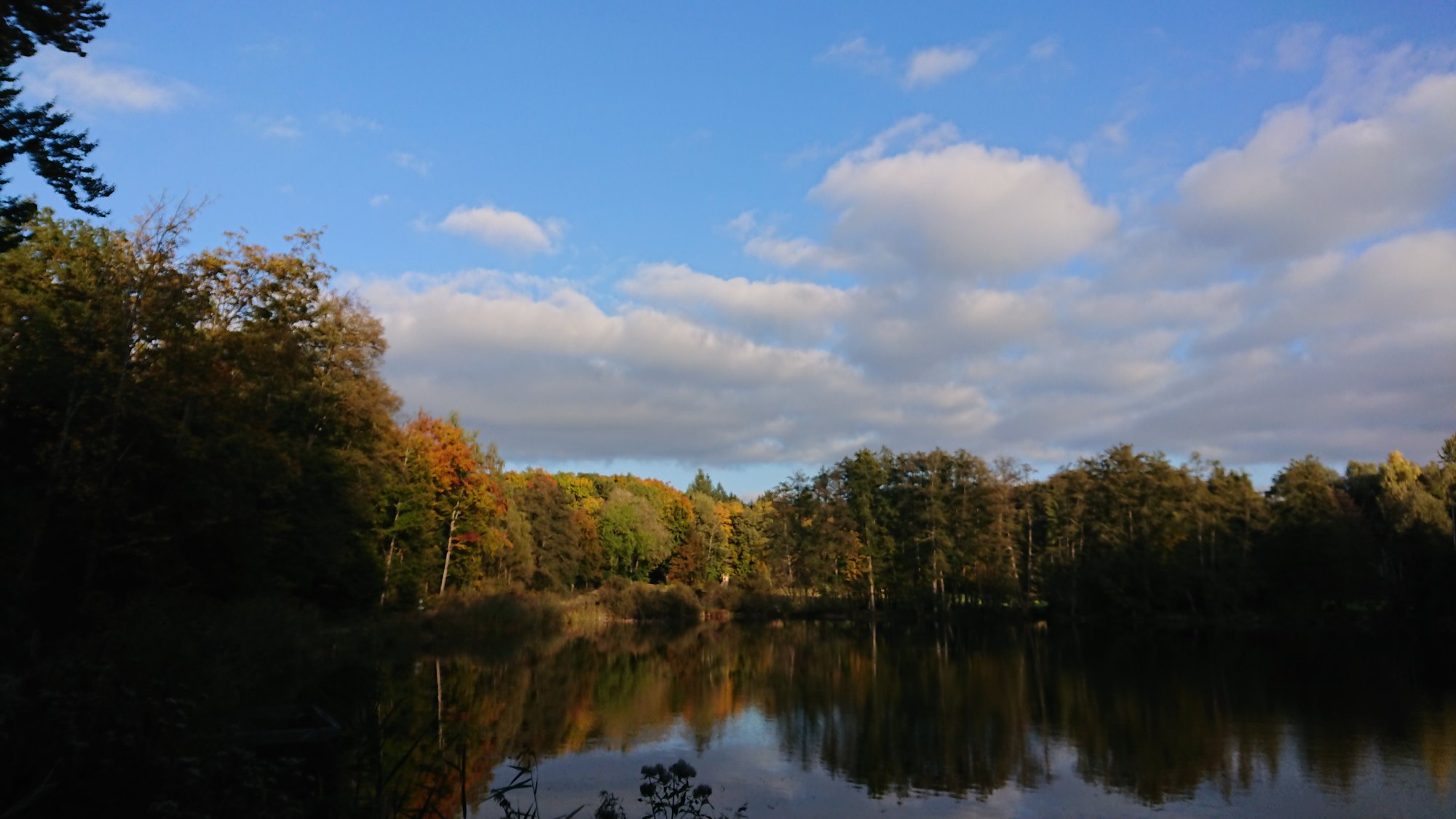 DSC_0047.JPG
