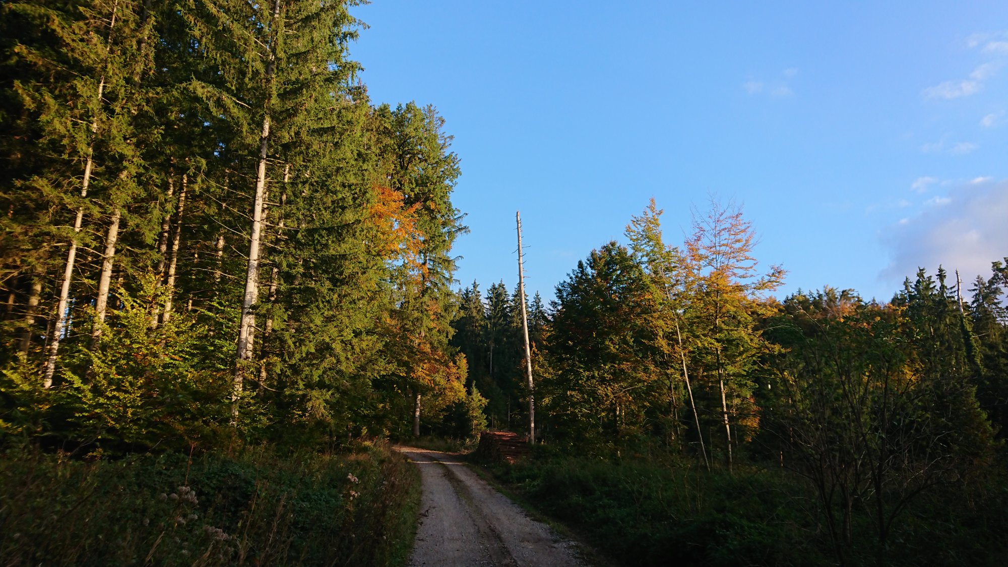 DSC_0049.JPG
