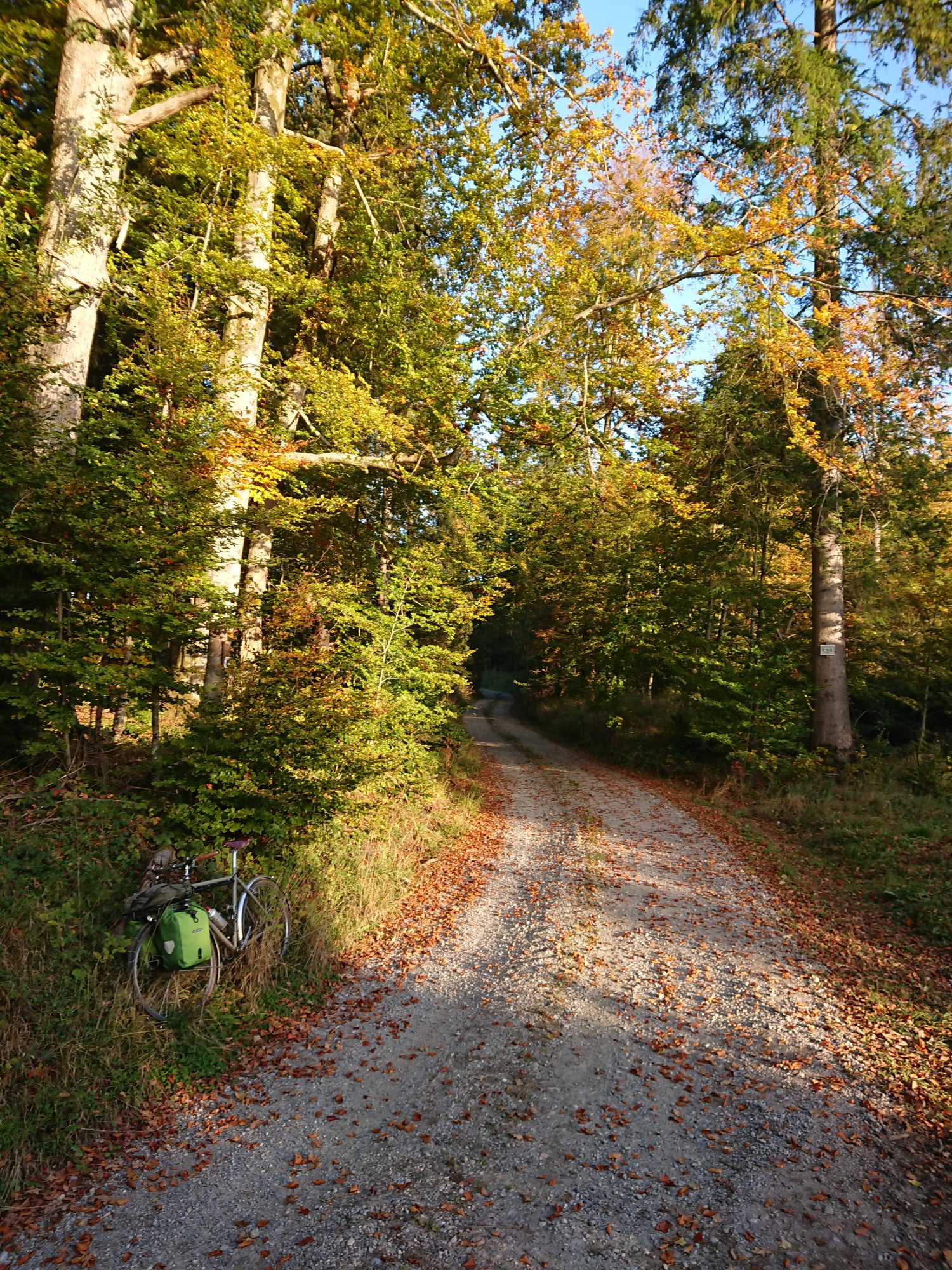 DSC_0050.JPG