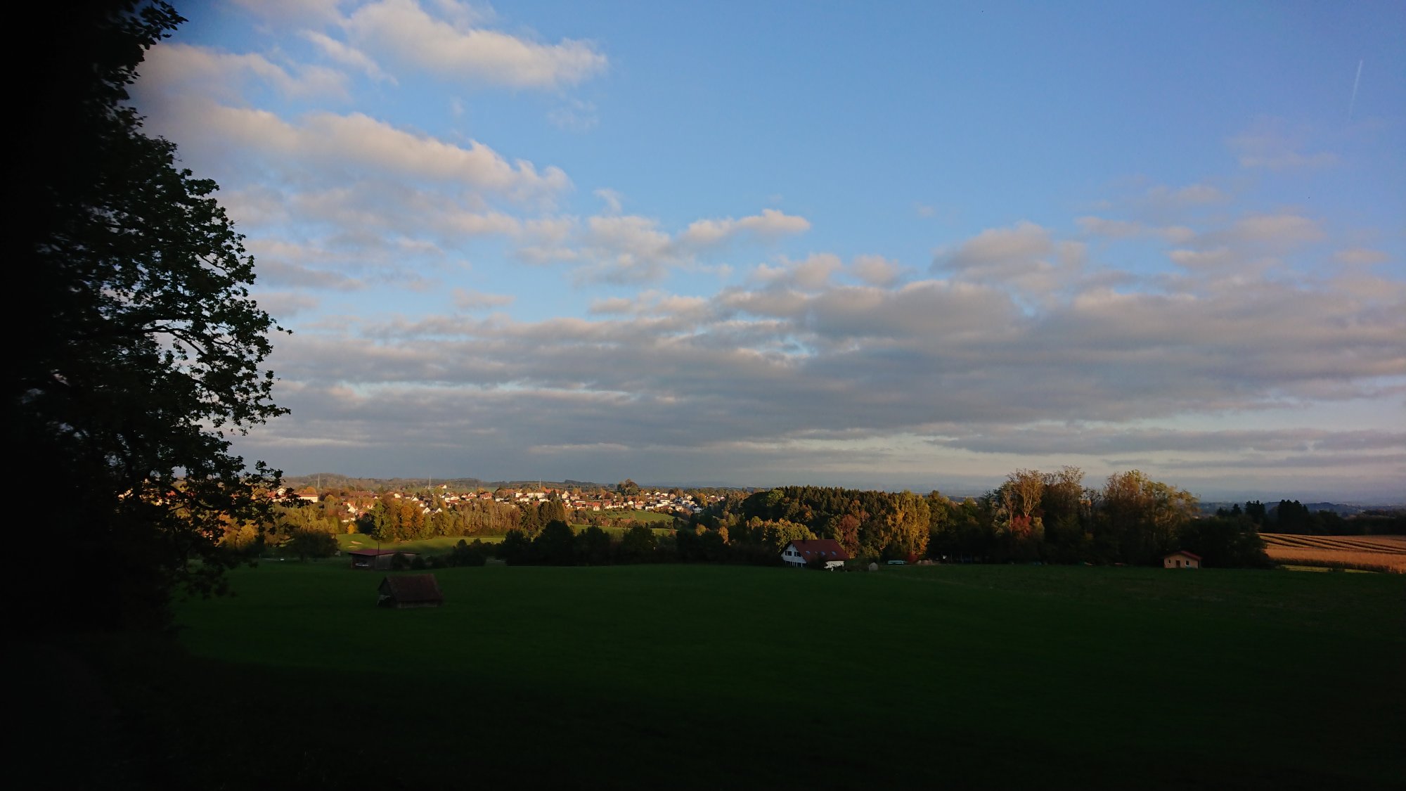DSC_0051.JPG