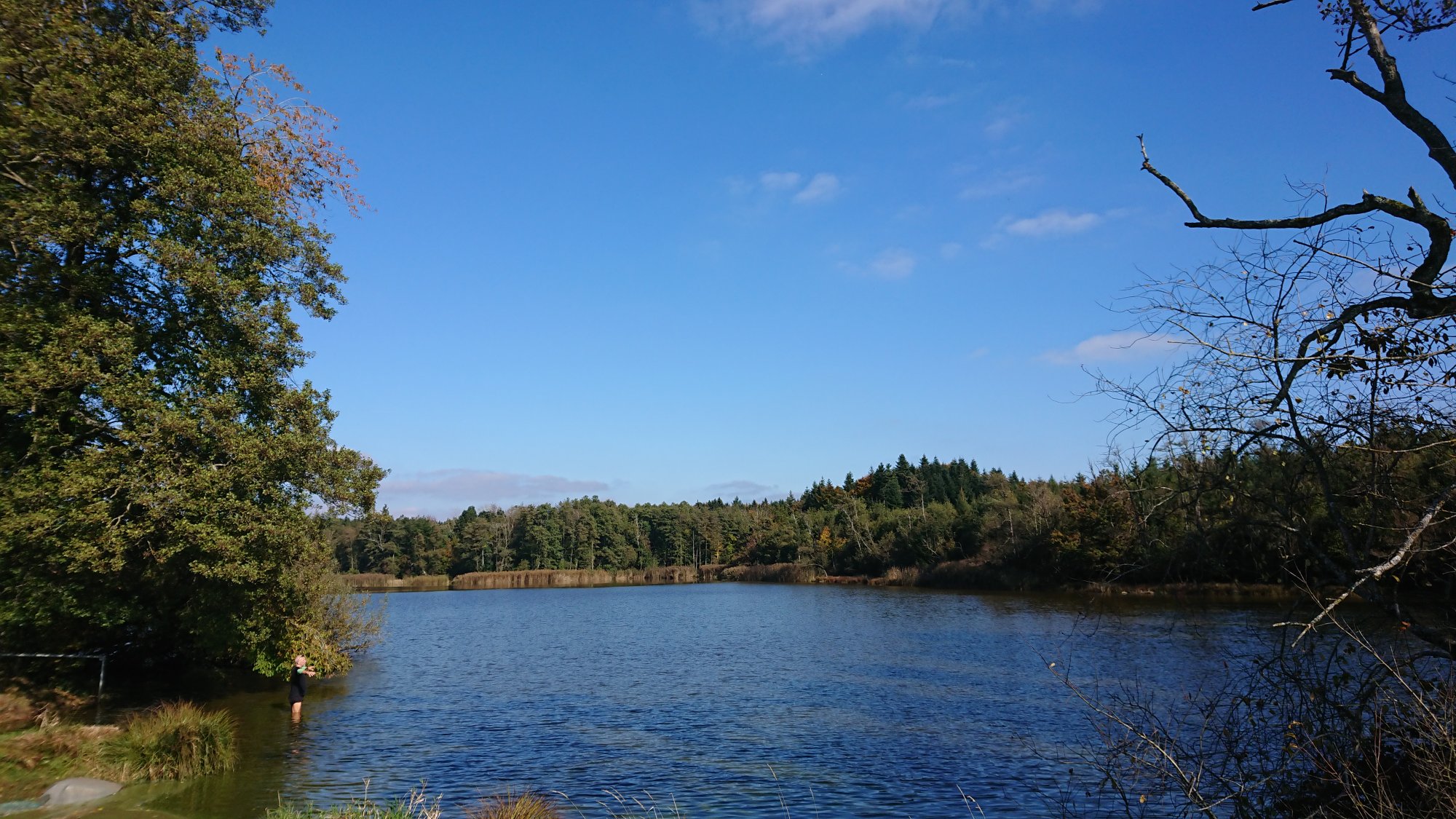 DSC_0052.JPG