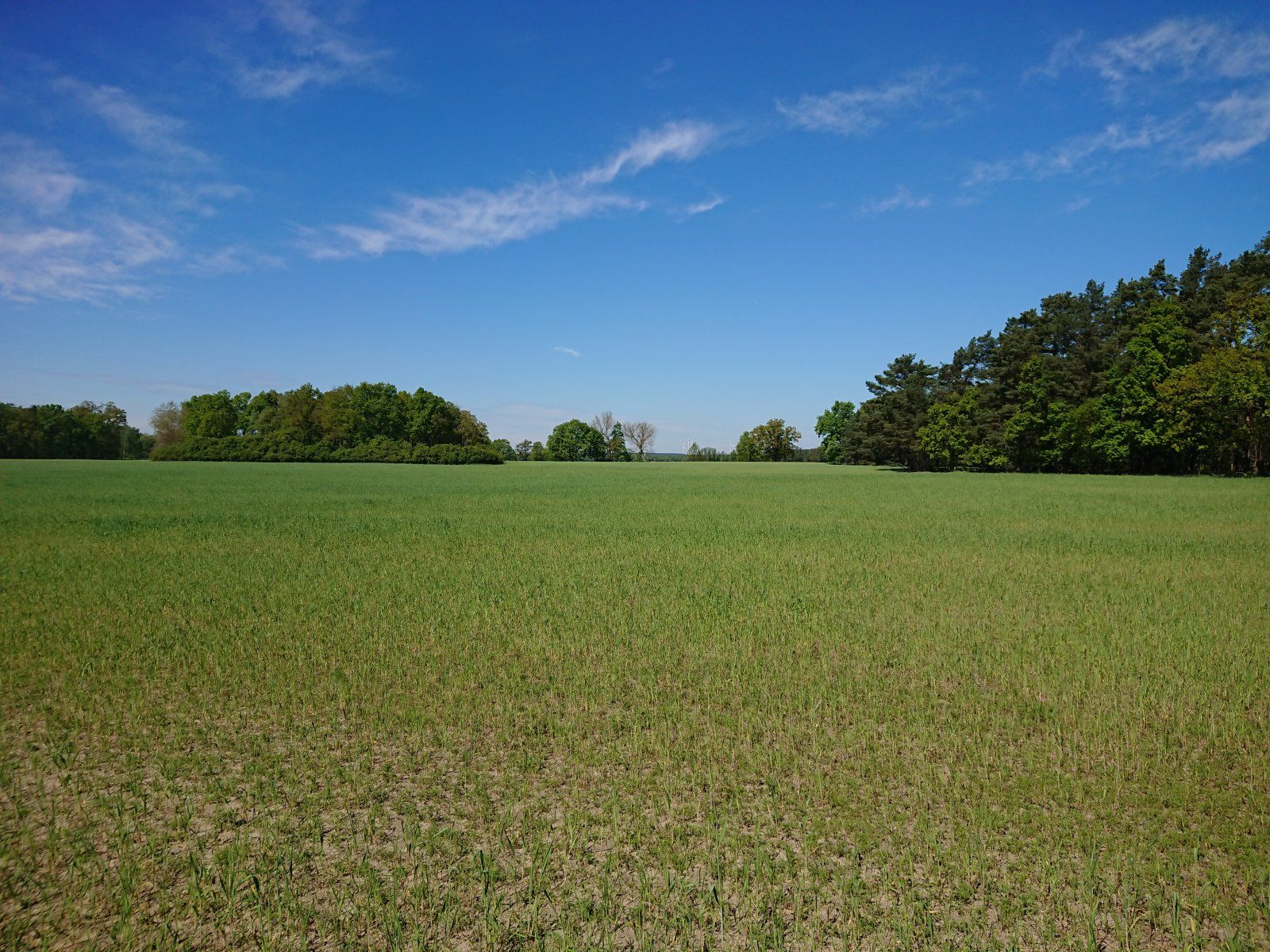 DSC_0055.JPG