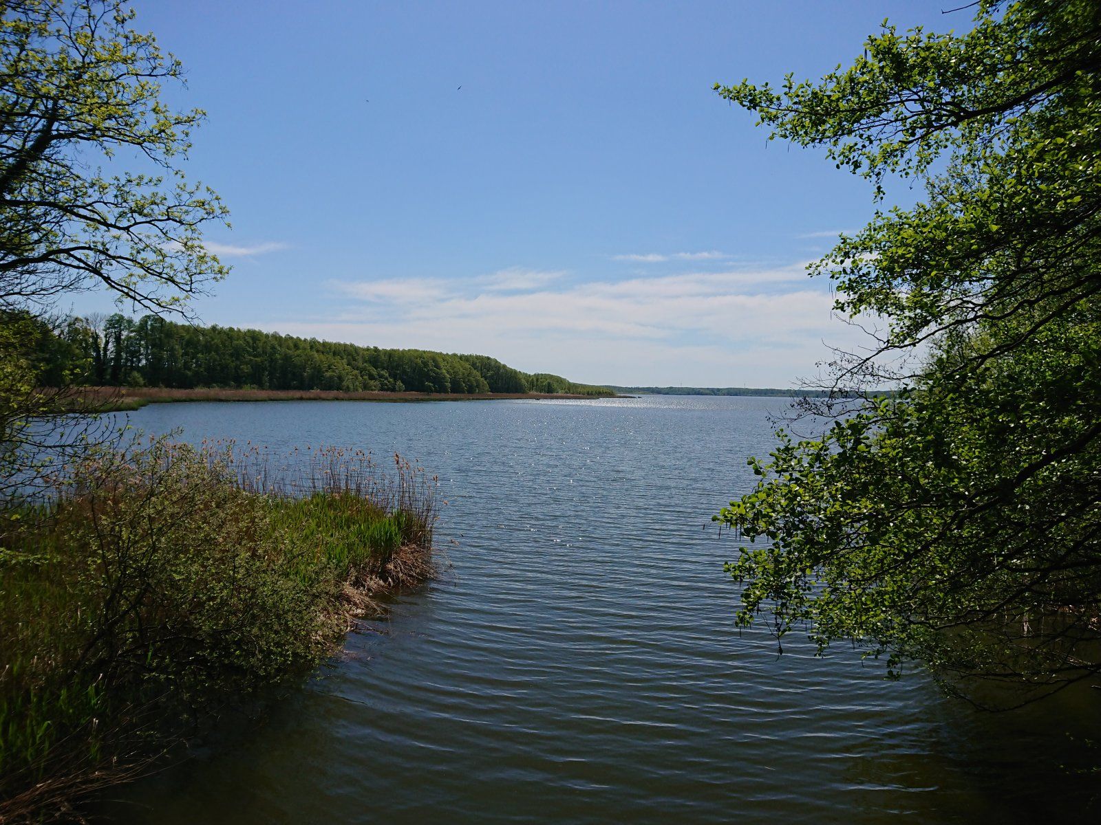 DSC_0057.JPG