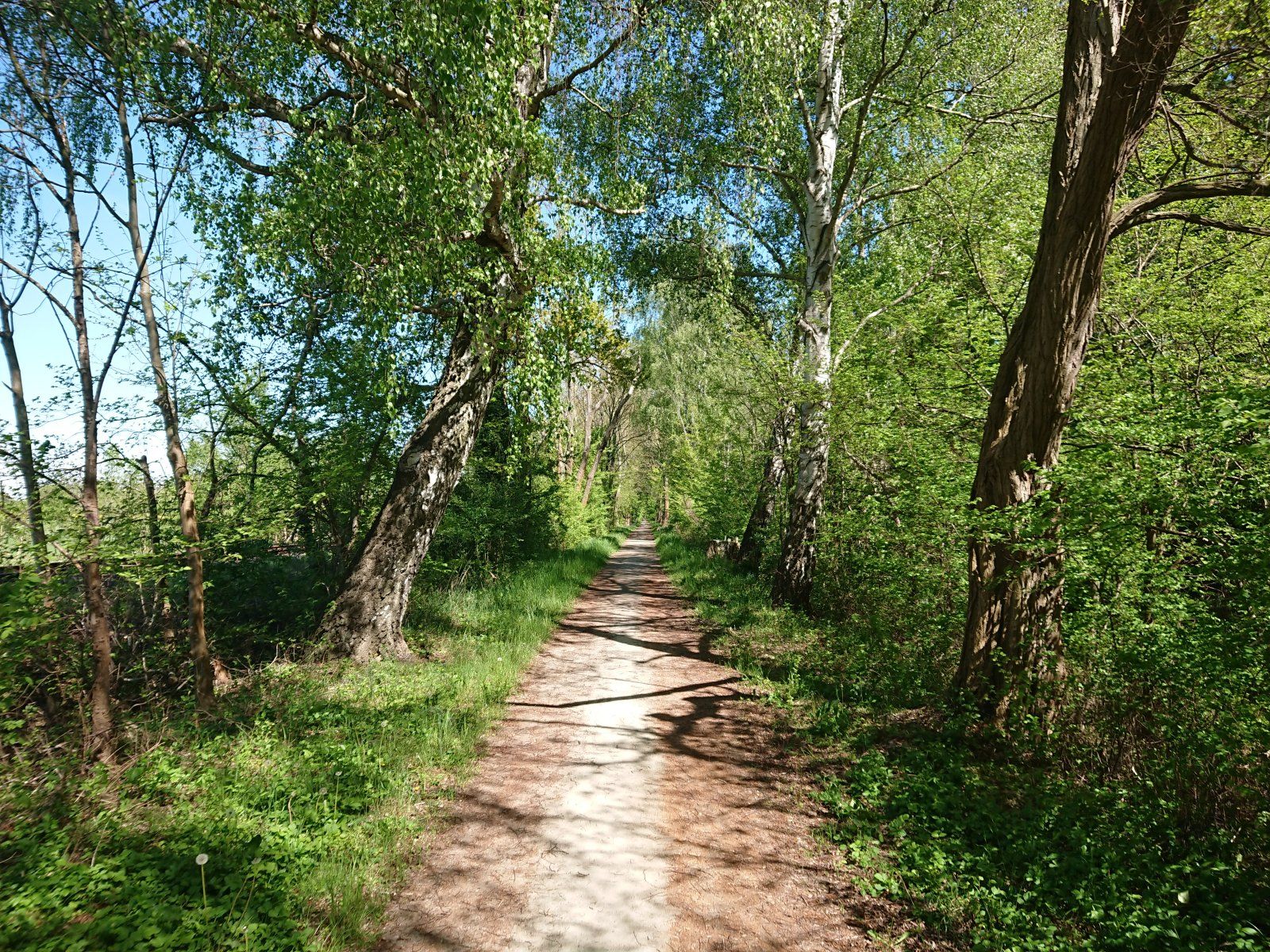 DSC_0057_a.JPG