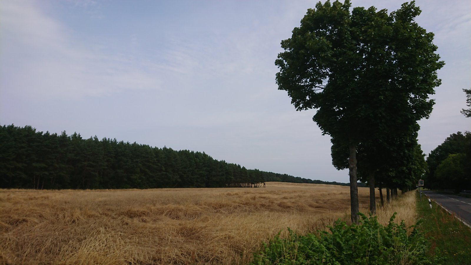 DSC_0058.JPG