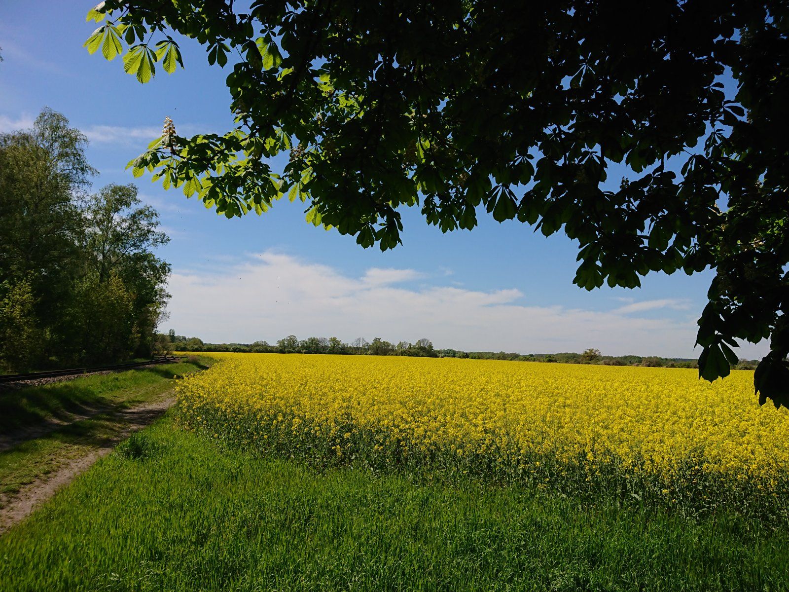 DSC_0061.JPG