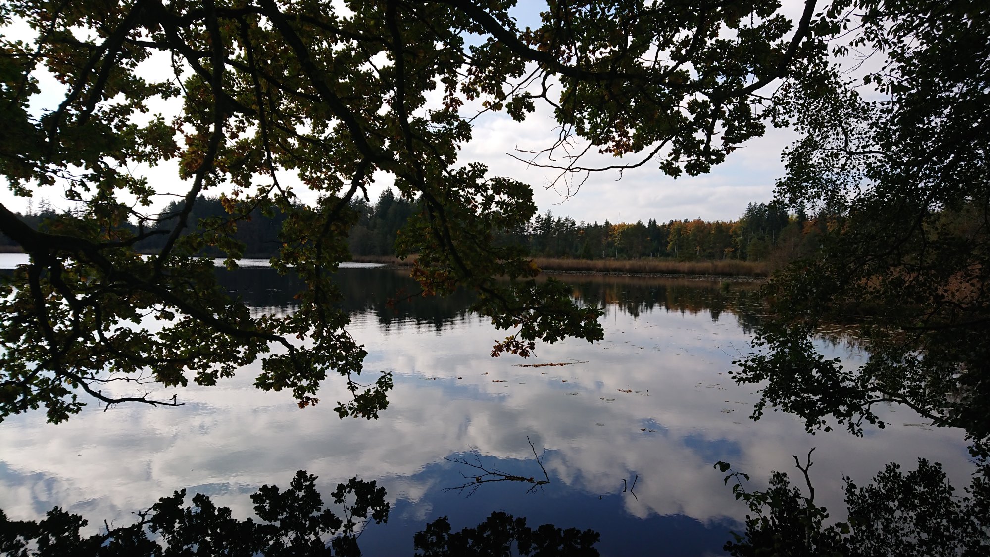 DSC_0062.JPG