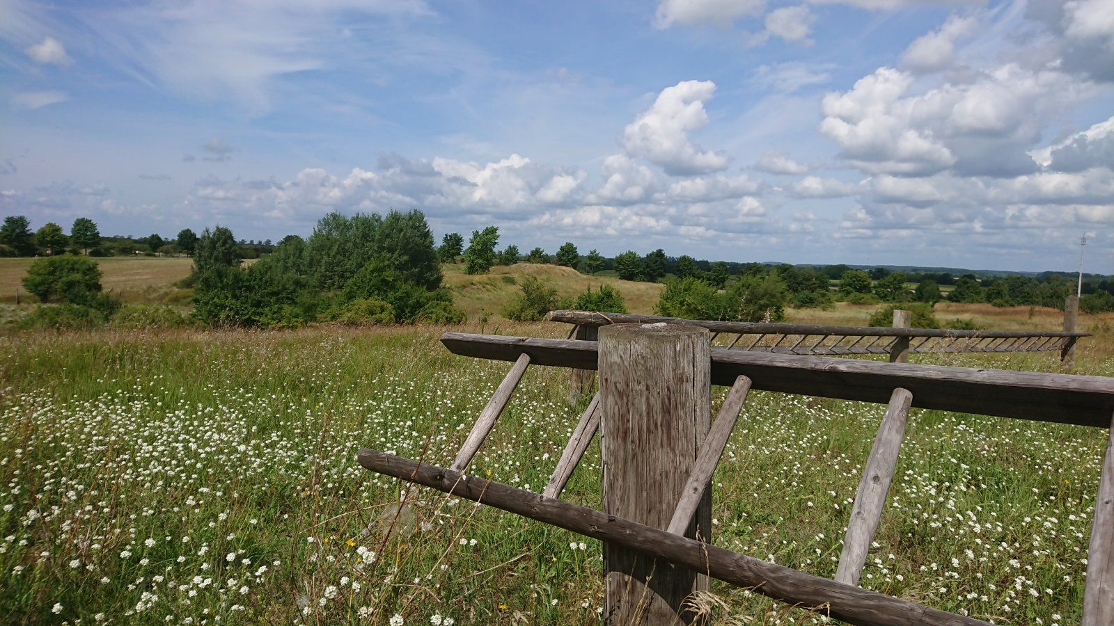 DSC_0067.JPG