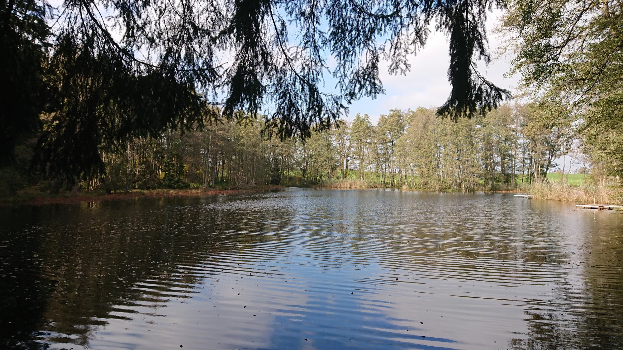 DSC_0068.JPG