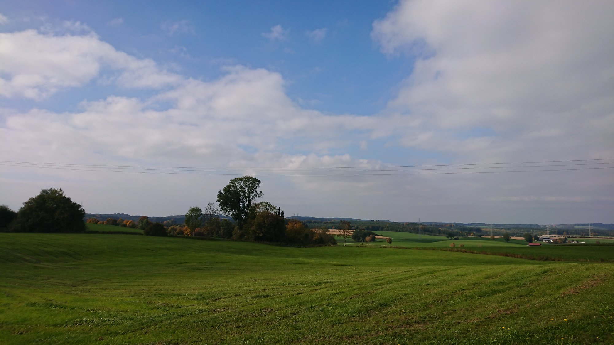 DSC_0069.JPG