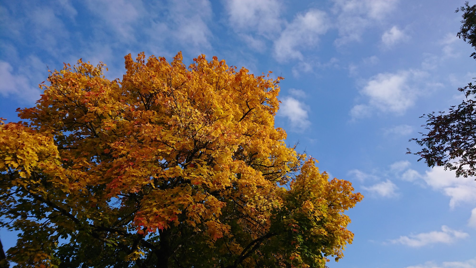 DSC_0070.JPG