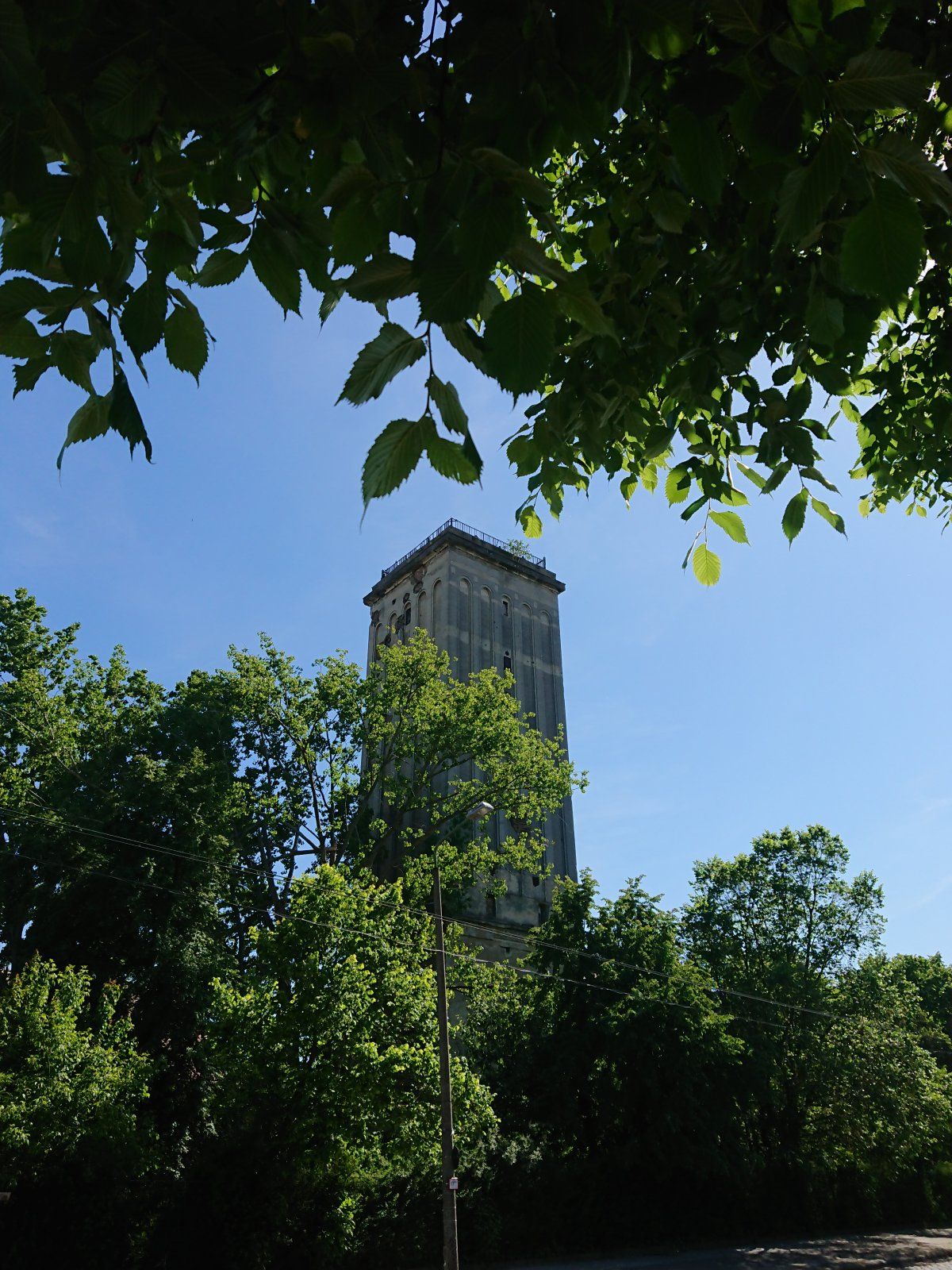 DSC_0073.JPG