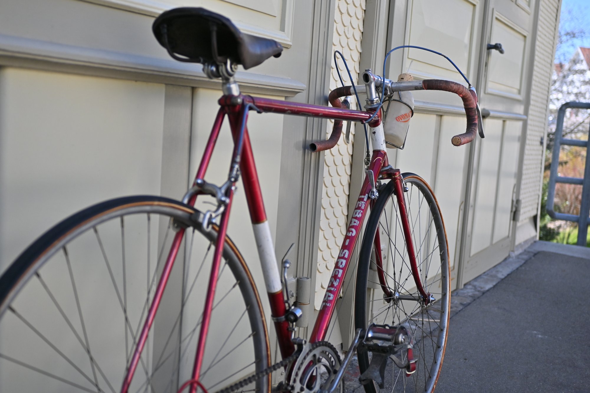 DSC_0098.jpeg