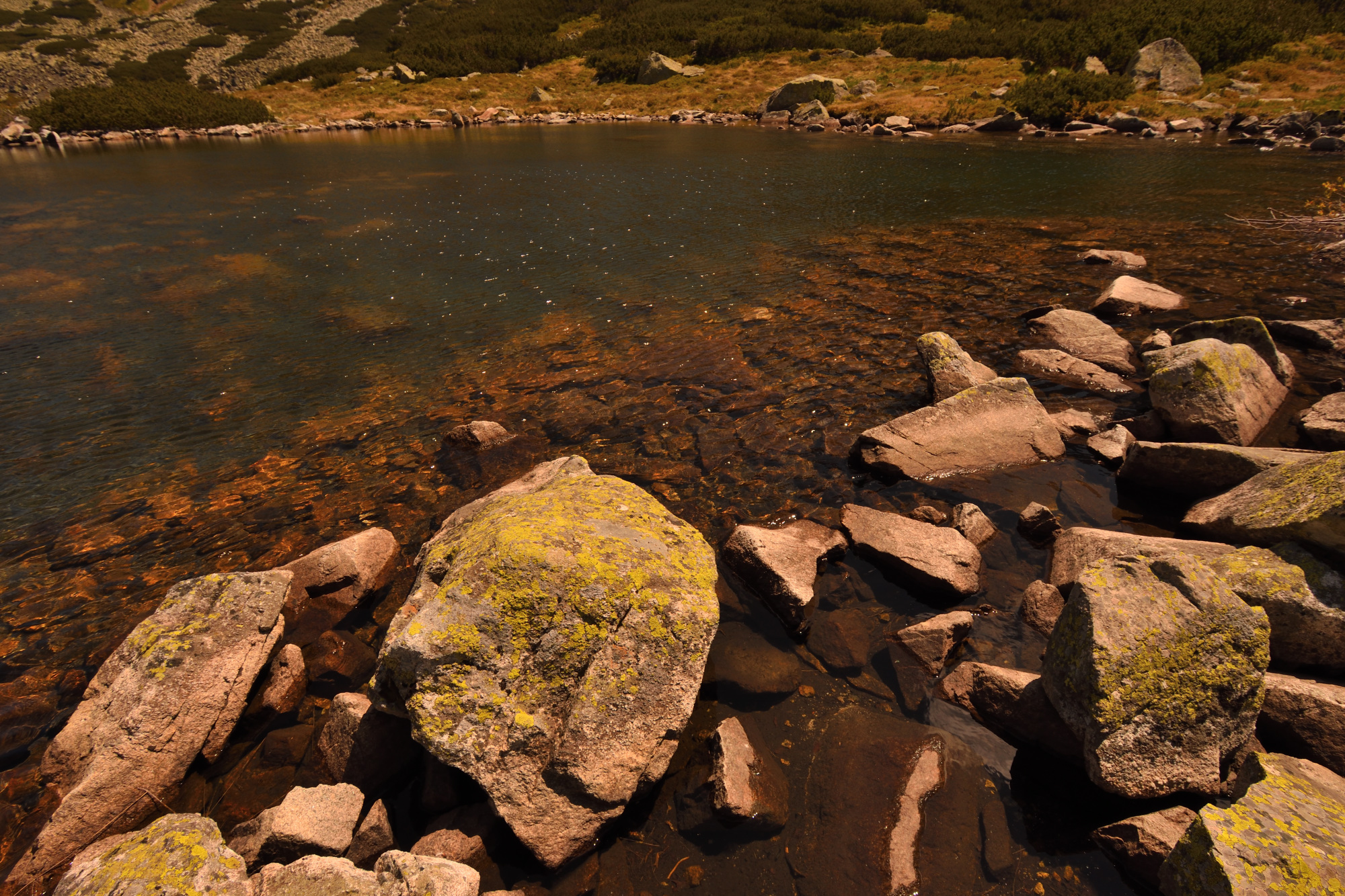 DSC_0123_03.JPG