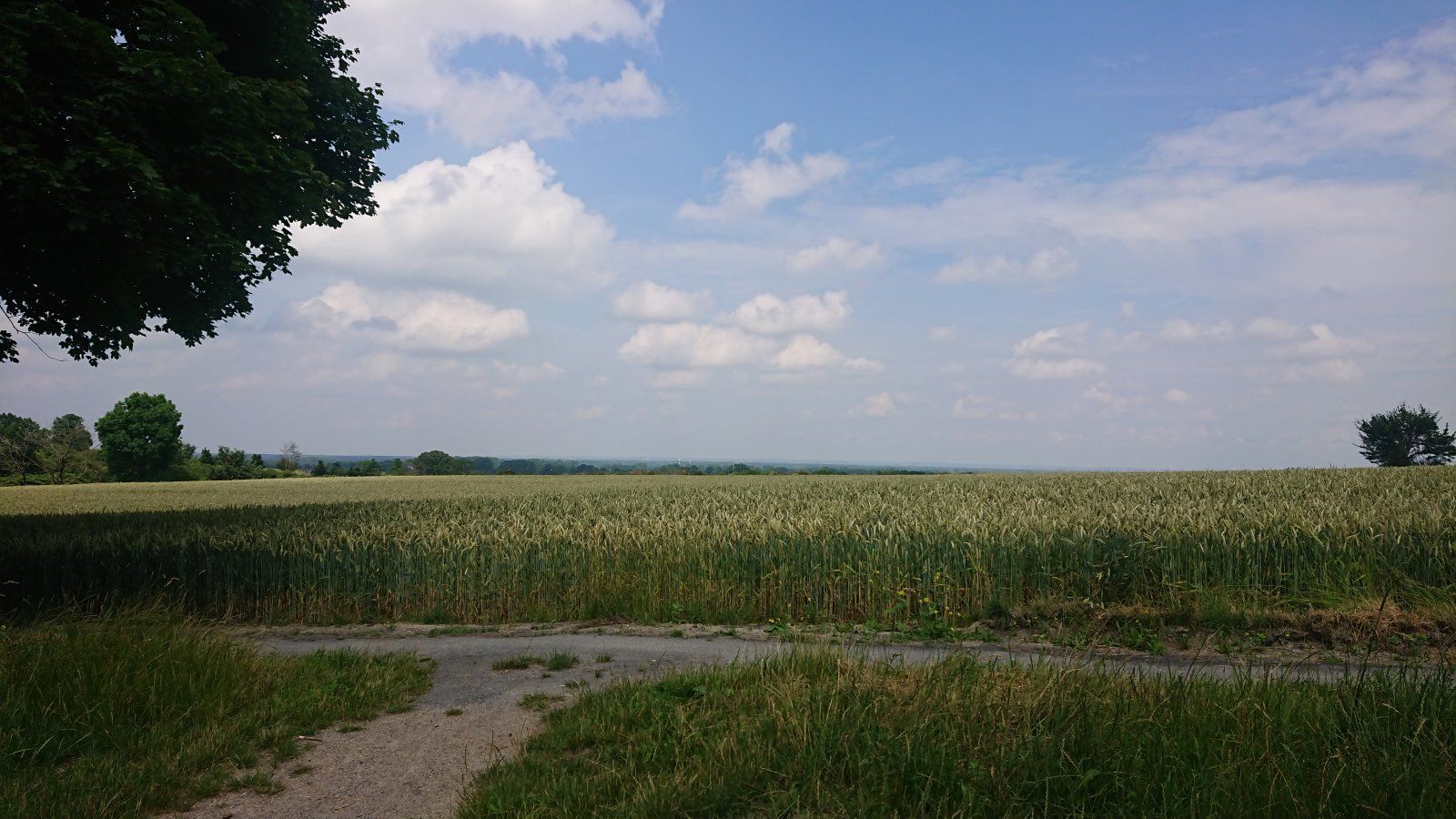 DSC_0129.JPG